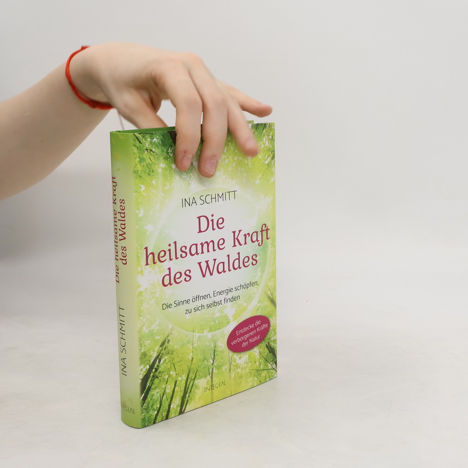 Ina Schmitt Die heilsame Kraft des Waldes