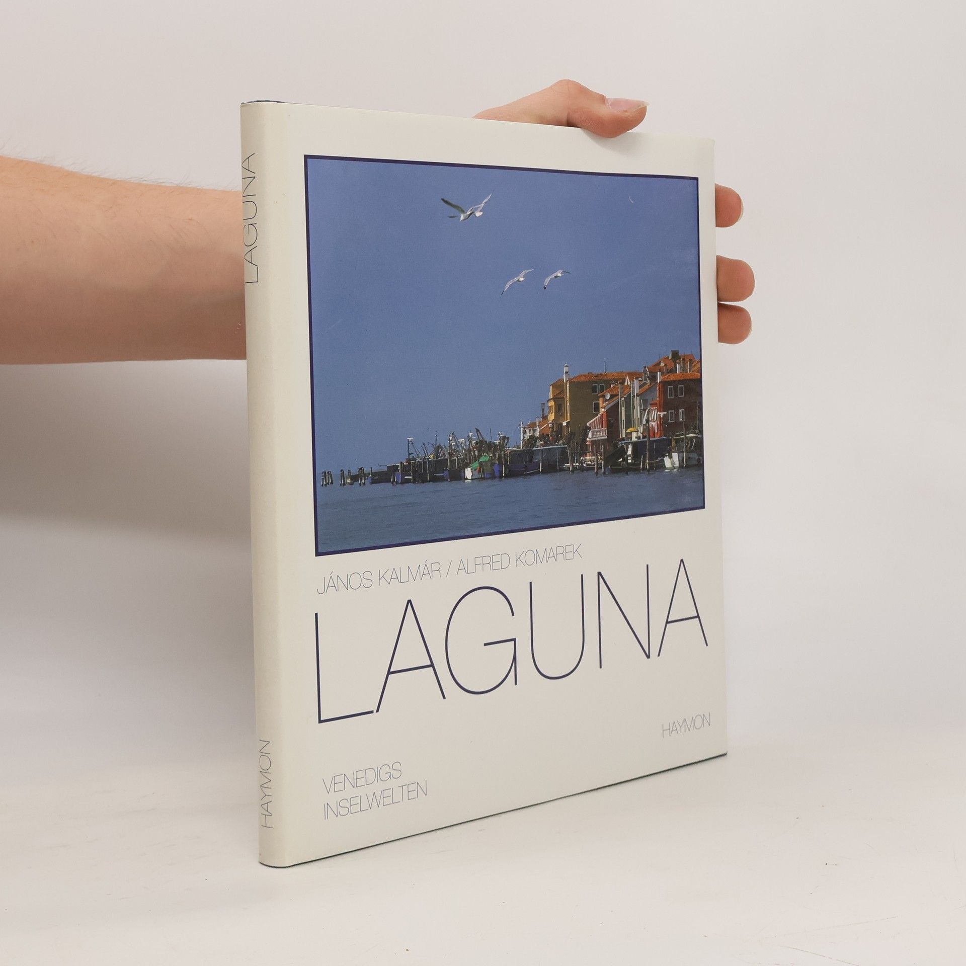 János Kalmár Laguna