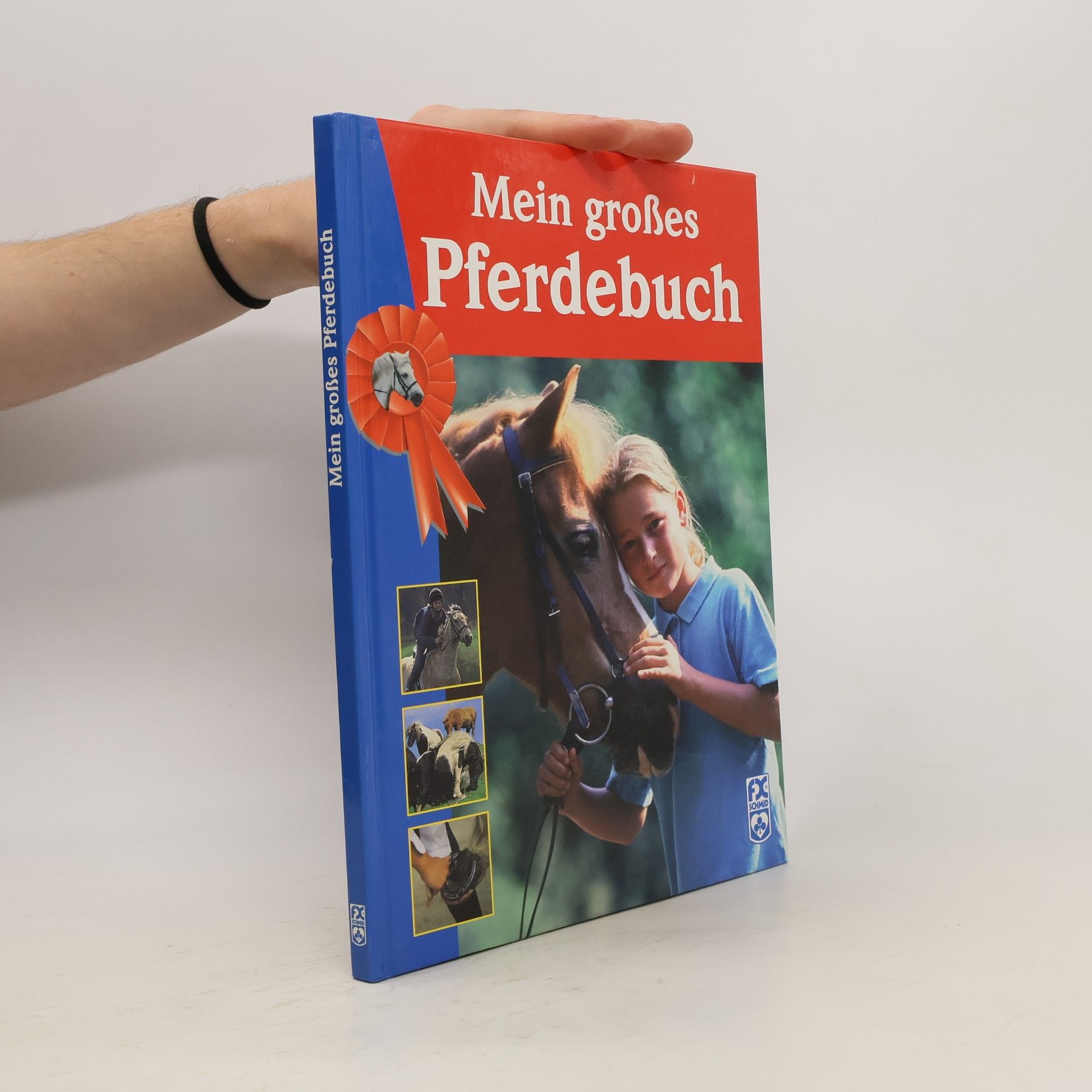 Toni Webber Mein großes Pferdebuch