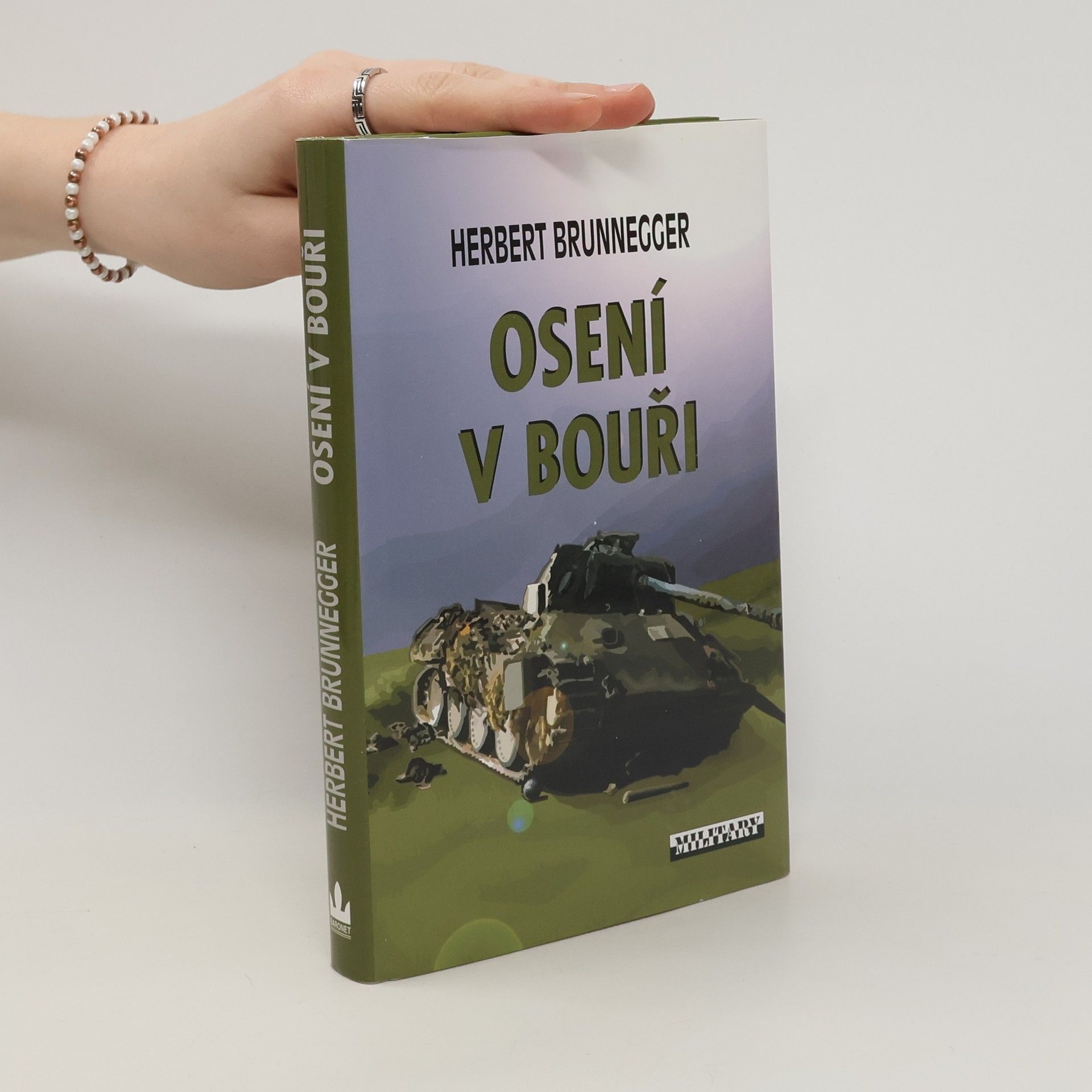 Herbert Brunnegger Osení v bouři