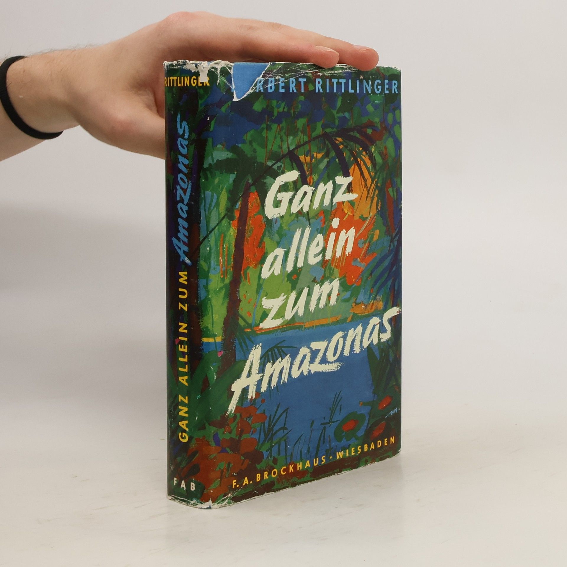 Herbert Rittlinger Ganz allein zum Amazonas