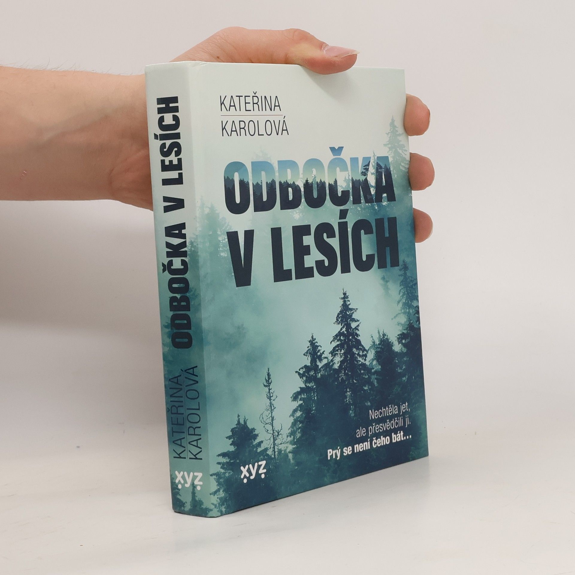 Kateřina Karolová Odbočka v lesích