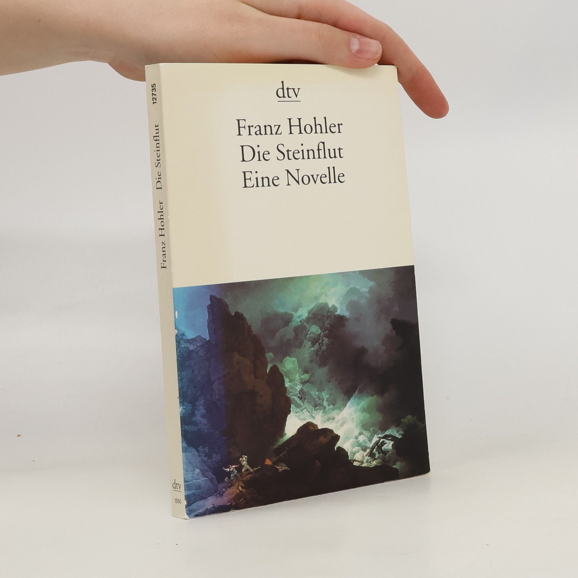Franz Hohler Die Steinflut