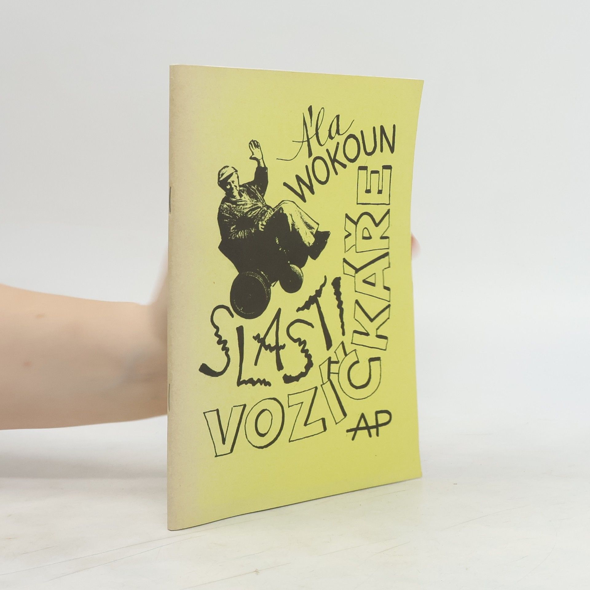 Alois Wokoun Slasti vozíčkáře