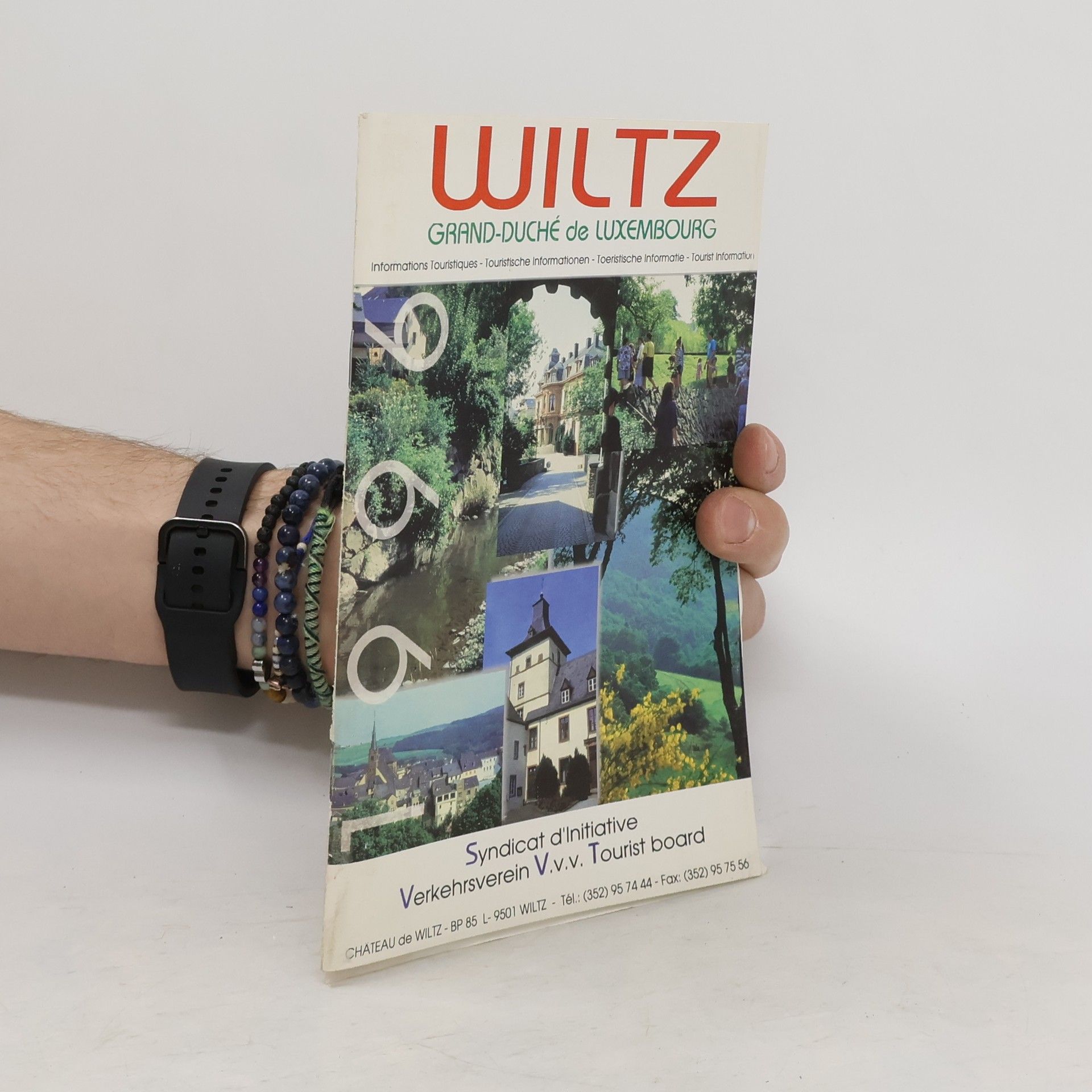 Collectif d'auteurs Wiltz Grand-Duché de Luxembourg