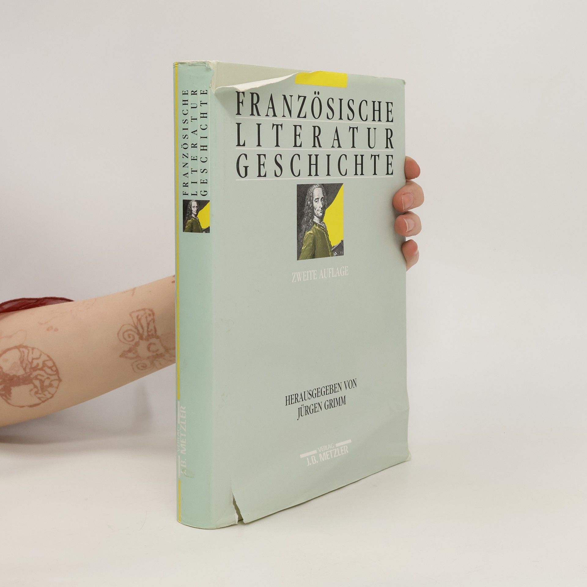 Karlheinrich Biermann Französische Literaturgeschichte