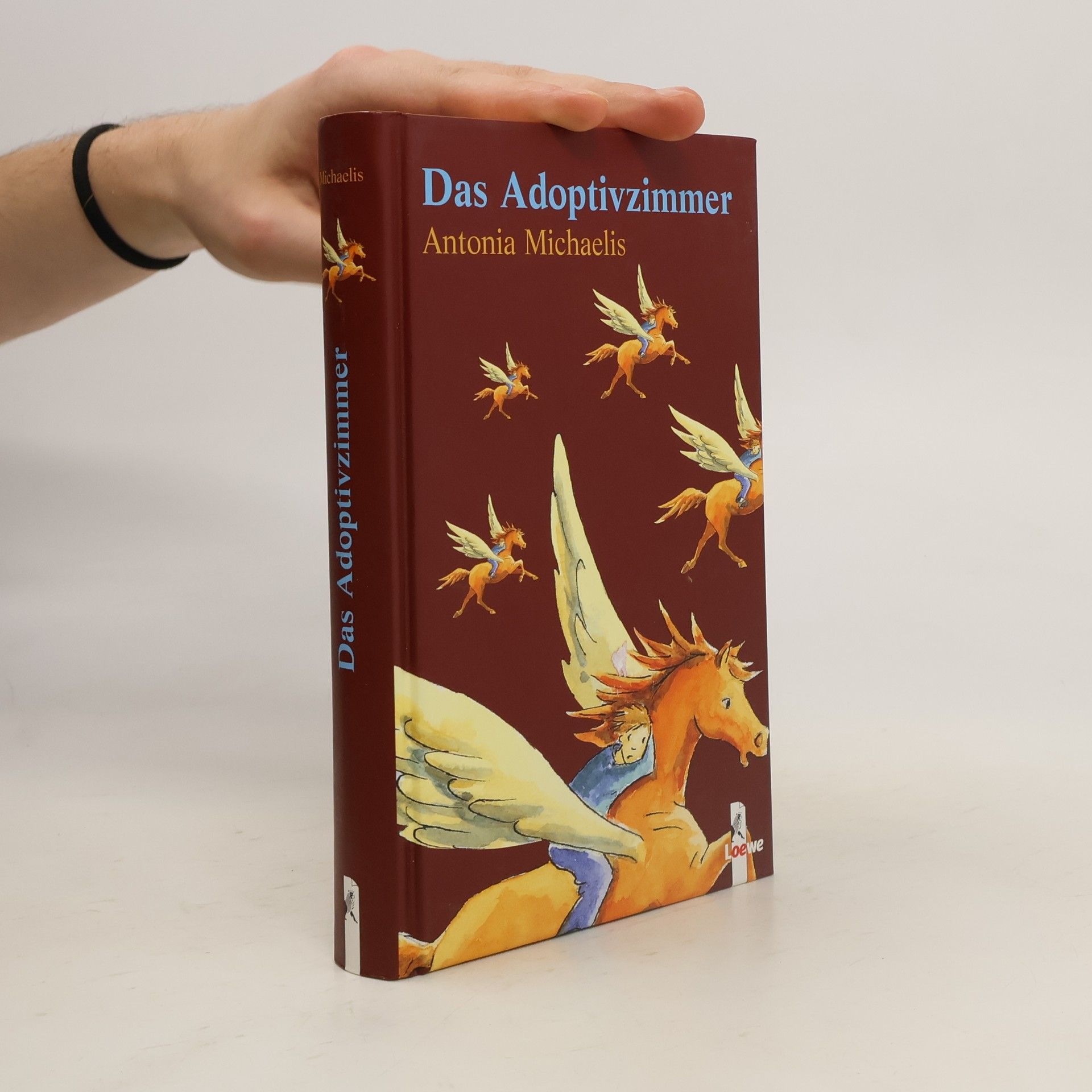 Antonia Michaelis Das Adoptivzimmer