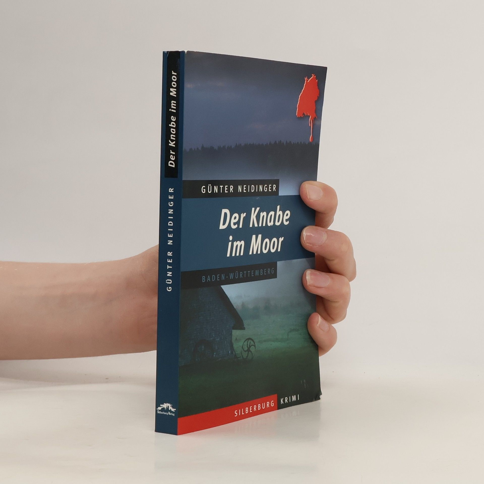 Günter Neidinger Der Knabe im Moor