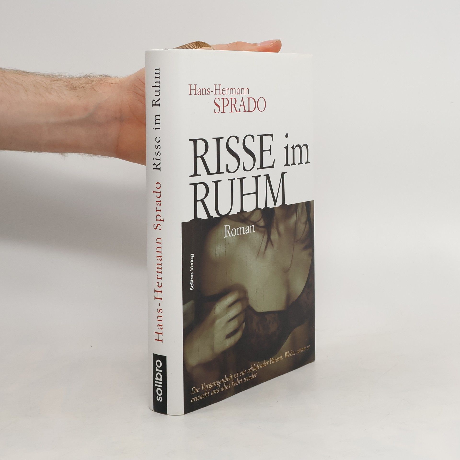 Hans Hermann Sprado Risse im Ruhm