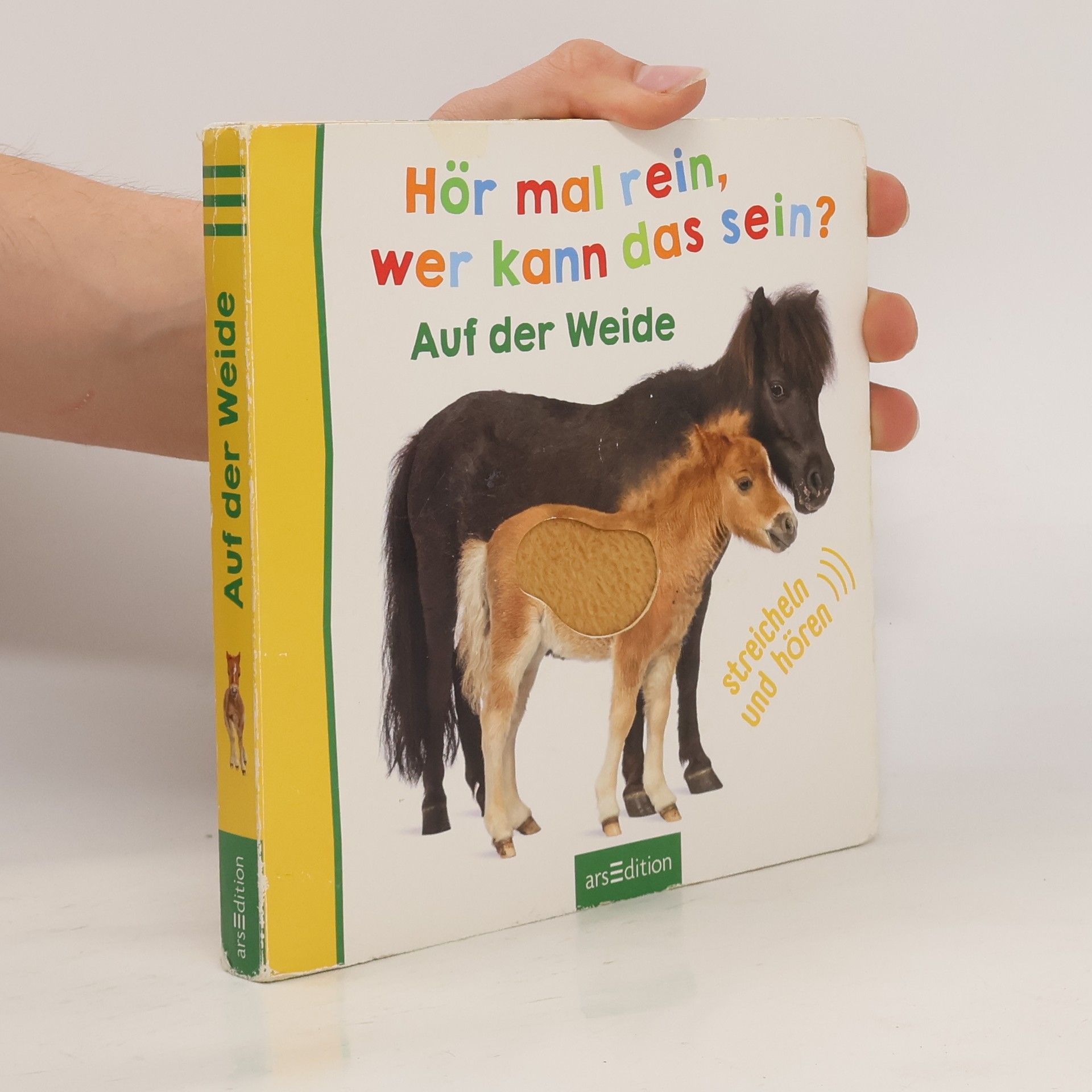 Autorenkollektiv Hör mal rein, wer kann das sein? - Auf der Weide
