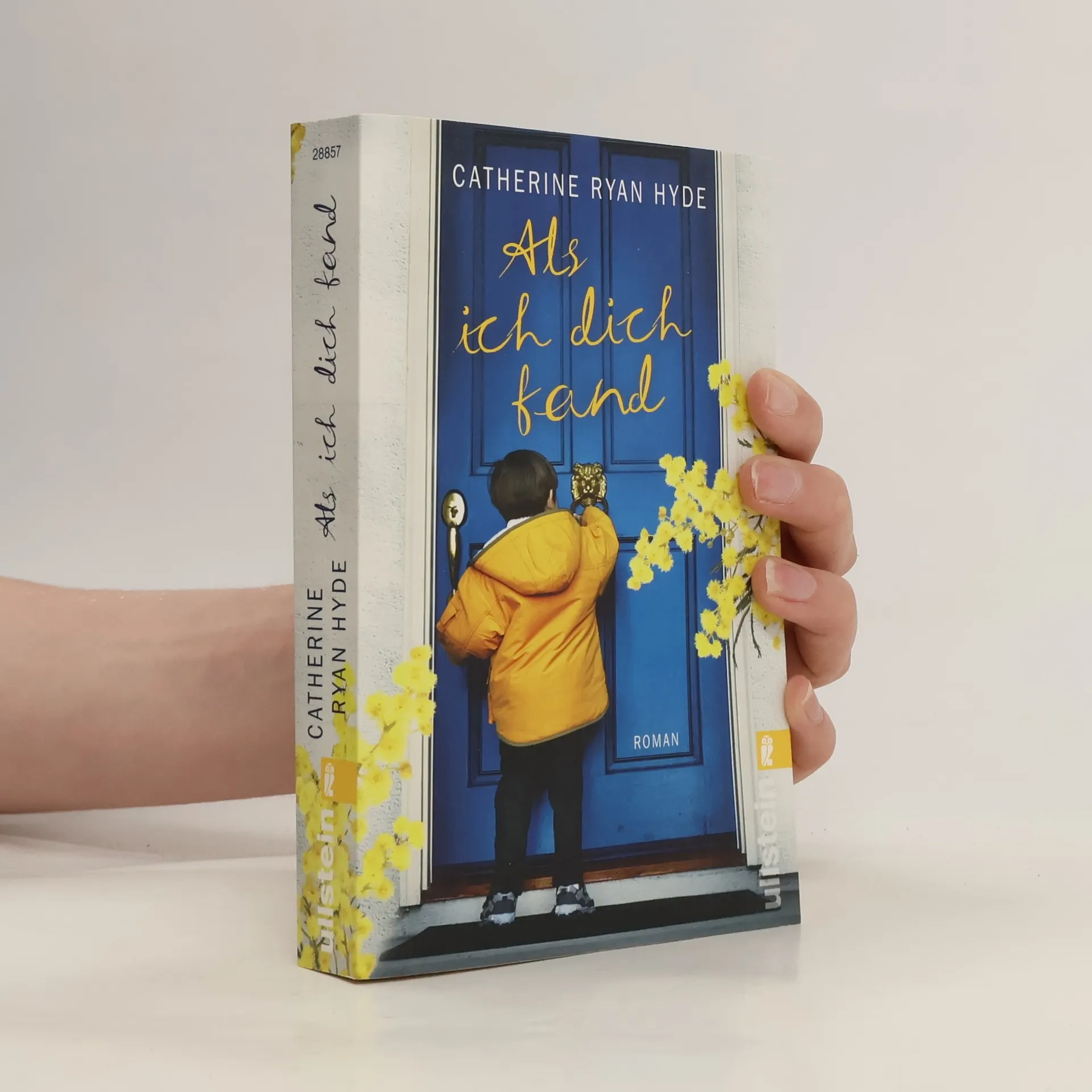 Als ich dich fand | Book | Catherine Ryan Hyde | DE