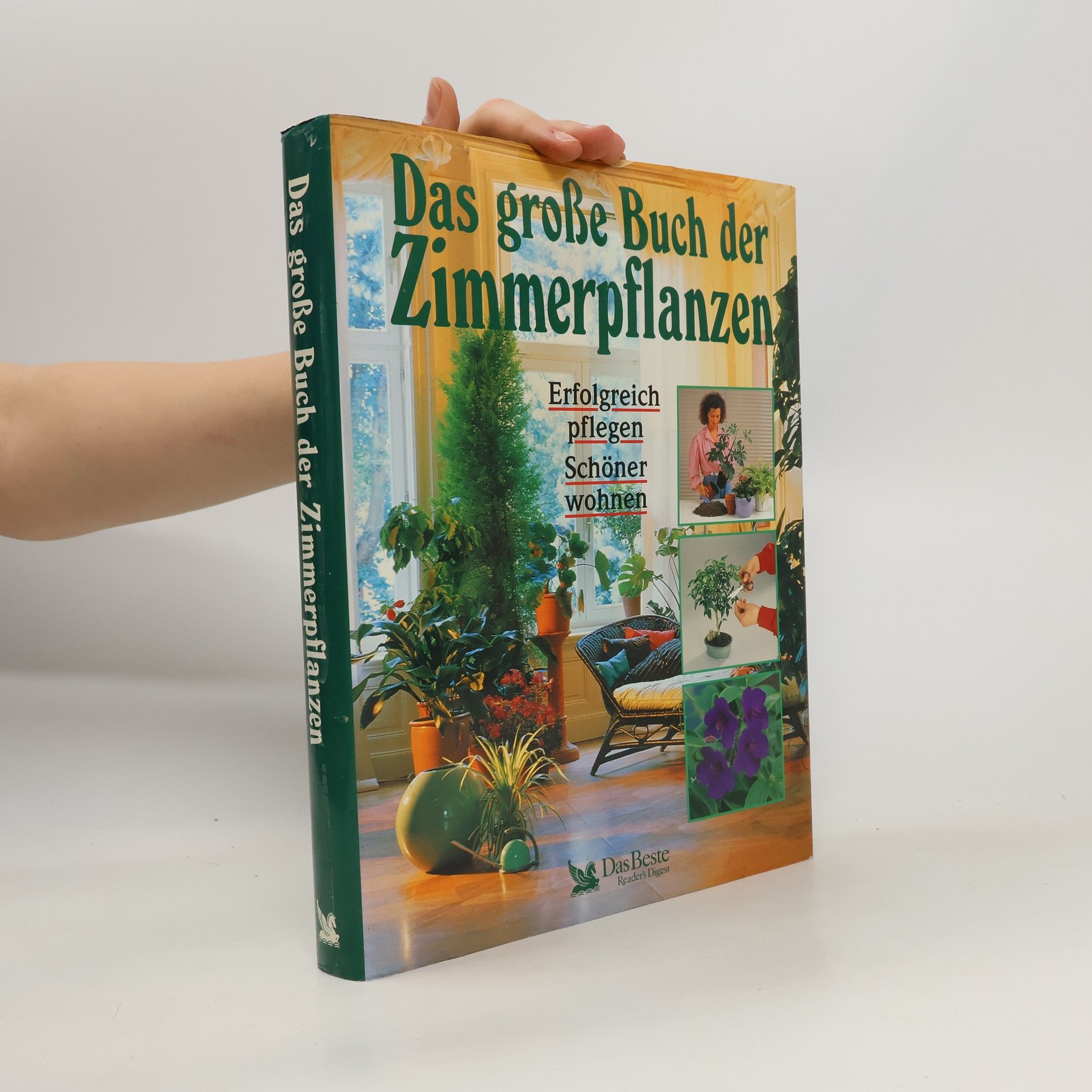 Autorenkollektiv Das große Buch der Zimmerpflanzen