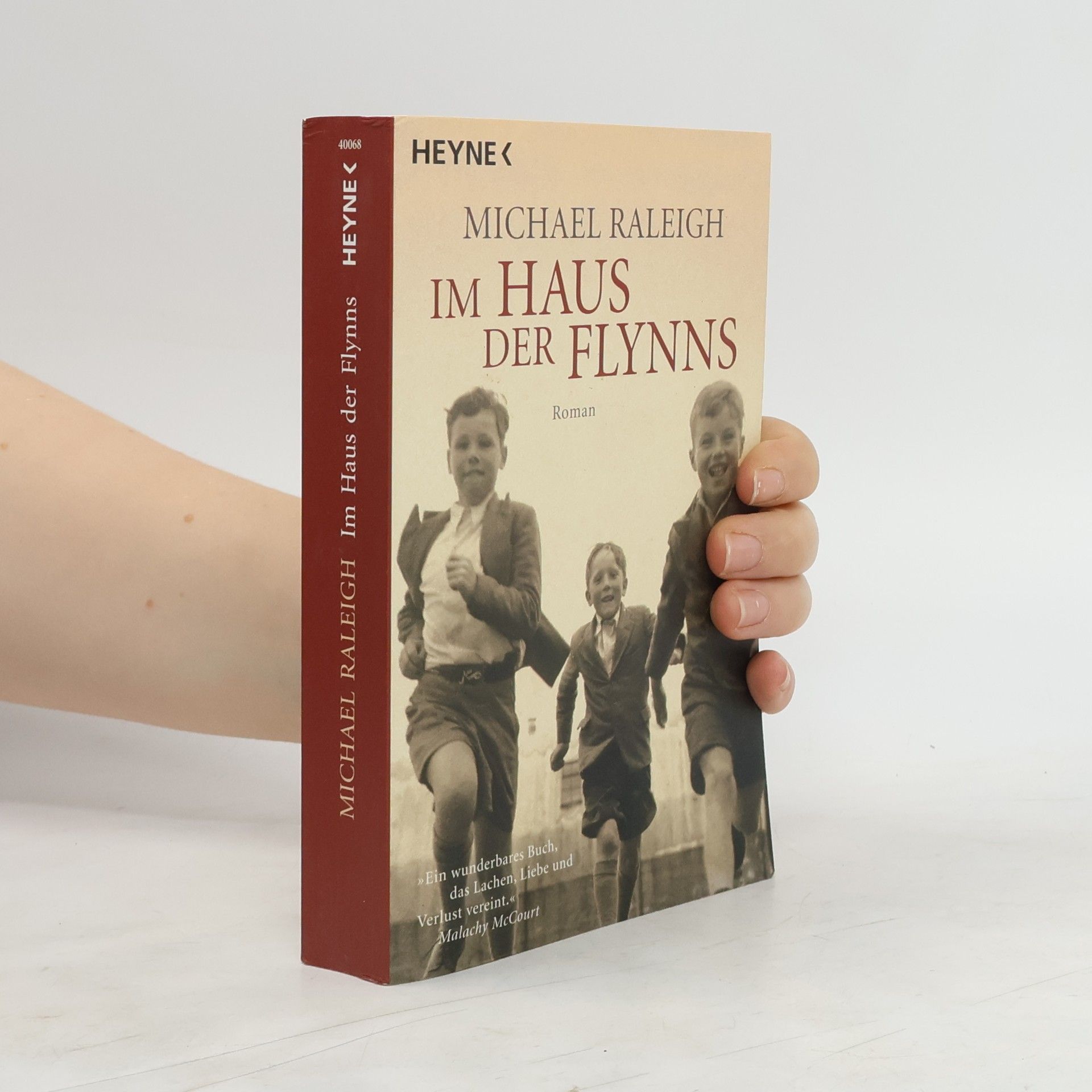 Michael Raleigh Im Haus der Flynns