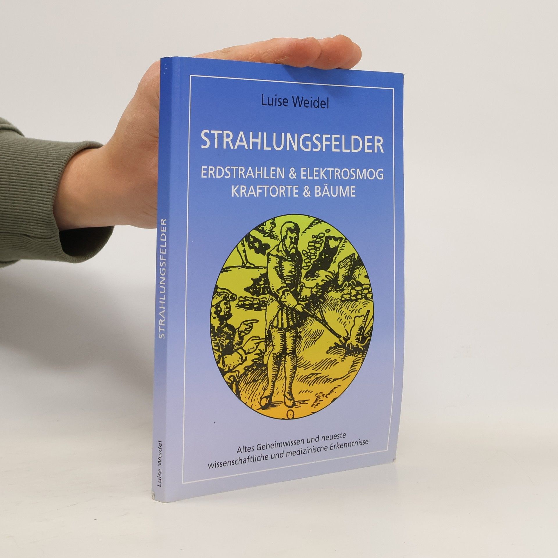 Luise Weidel Strahlungsfelder