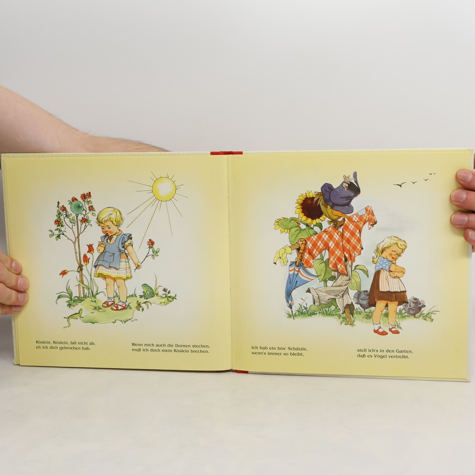 Autorenkollektiv Ri Ra Rutsch