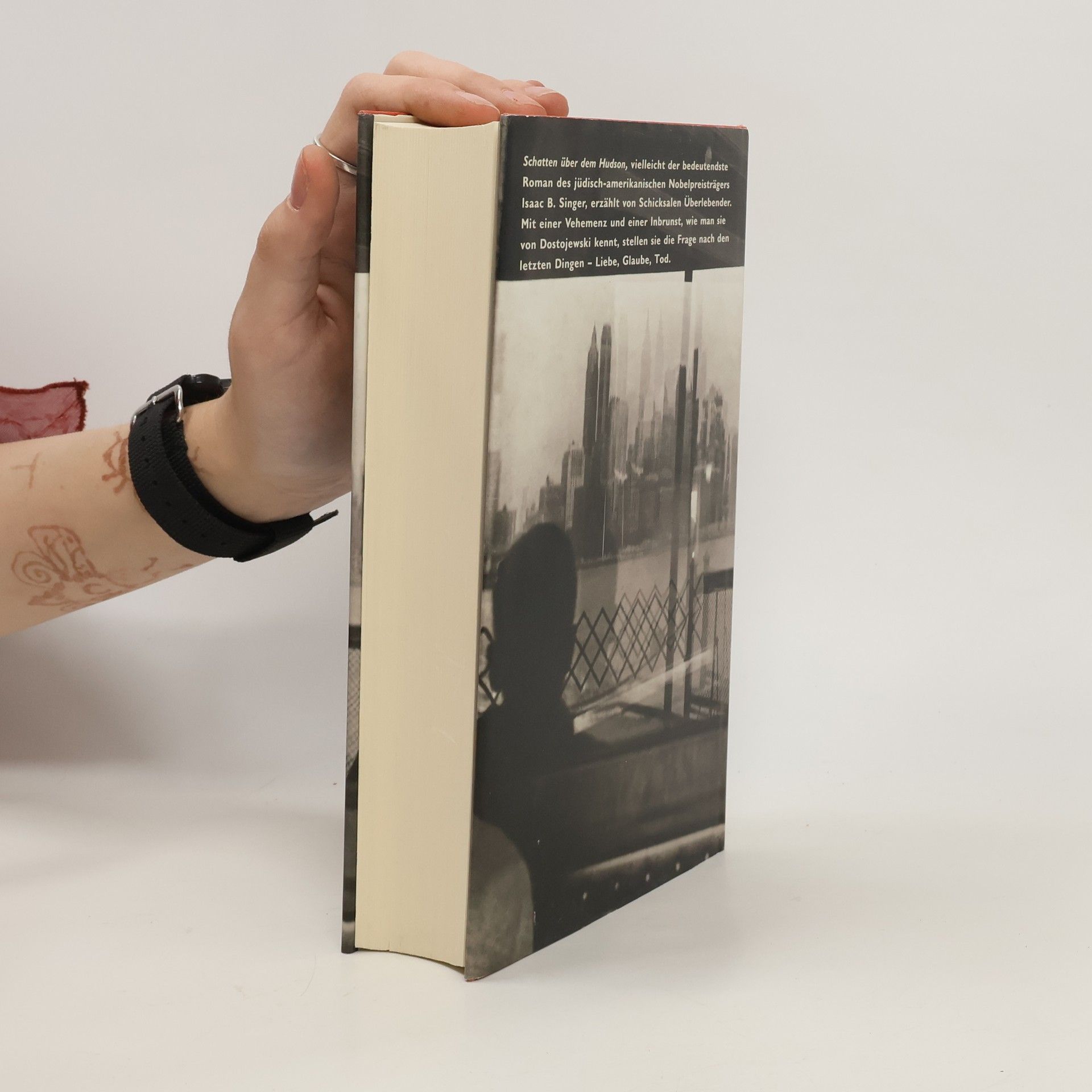 Isaac Bashevis Singer Schatten über dem Hudson