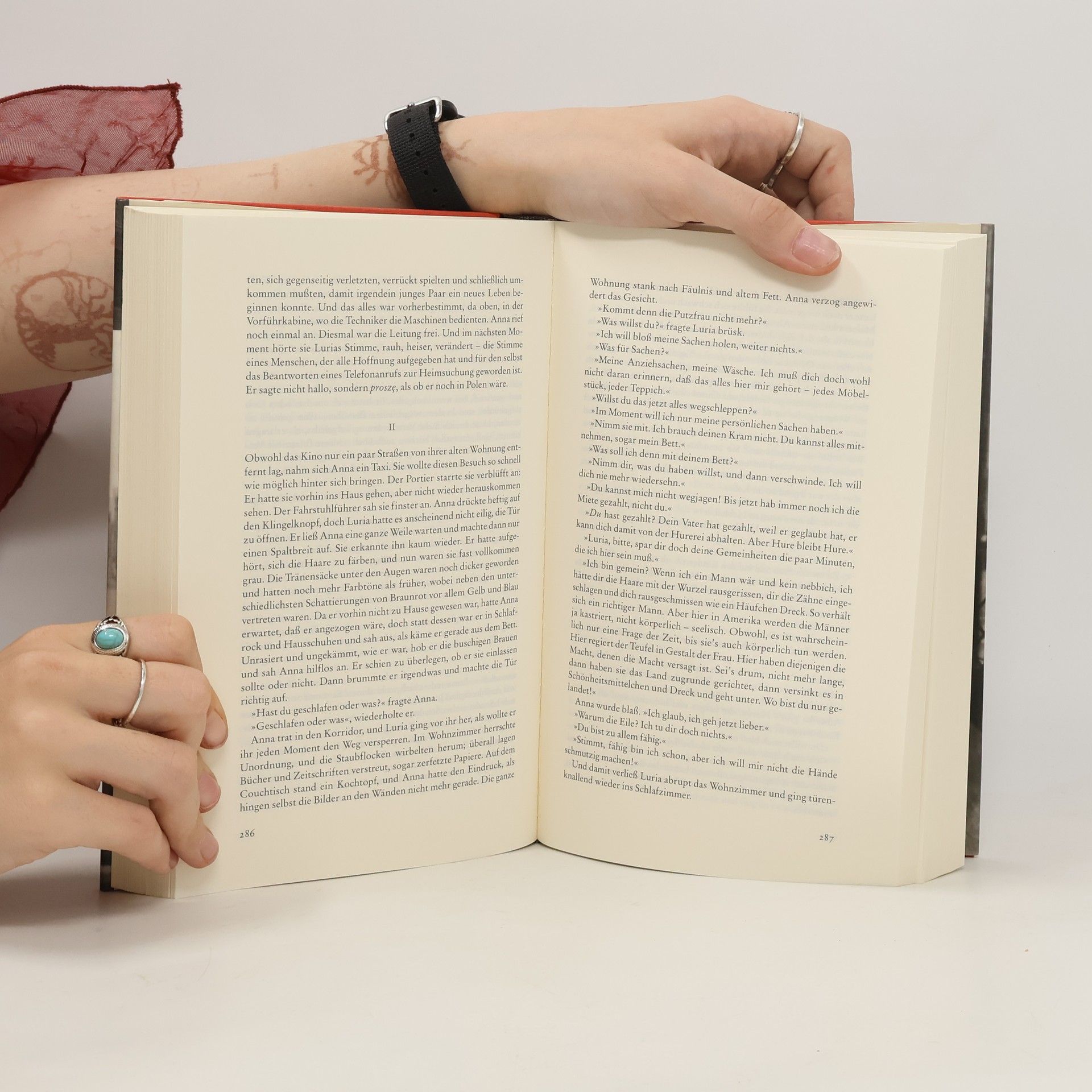 Isaac Bashevis Singer Schatten über dem Hudson