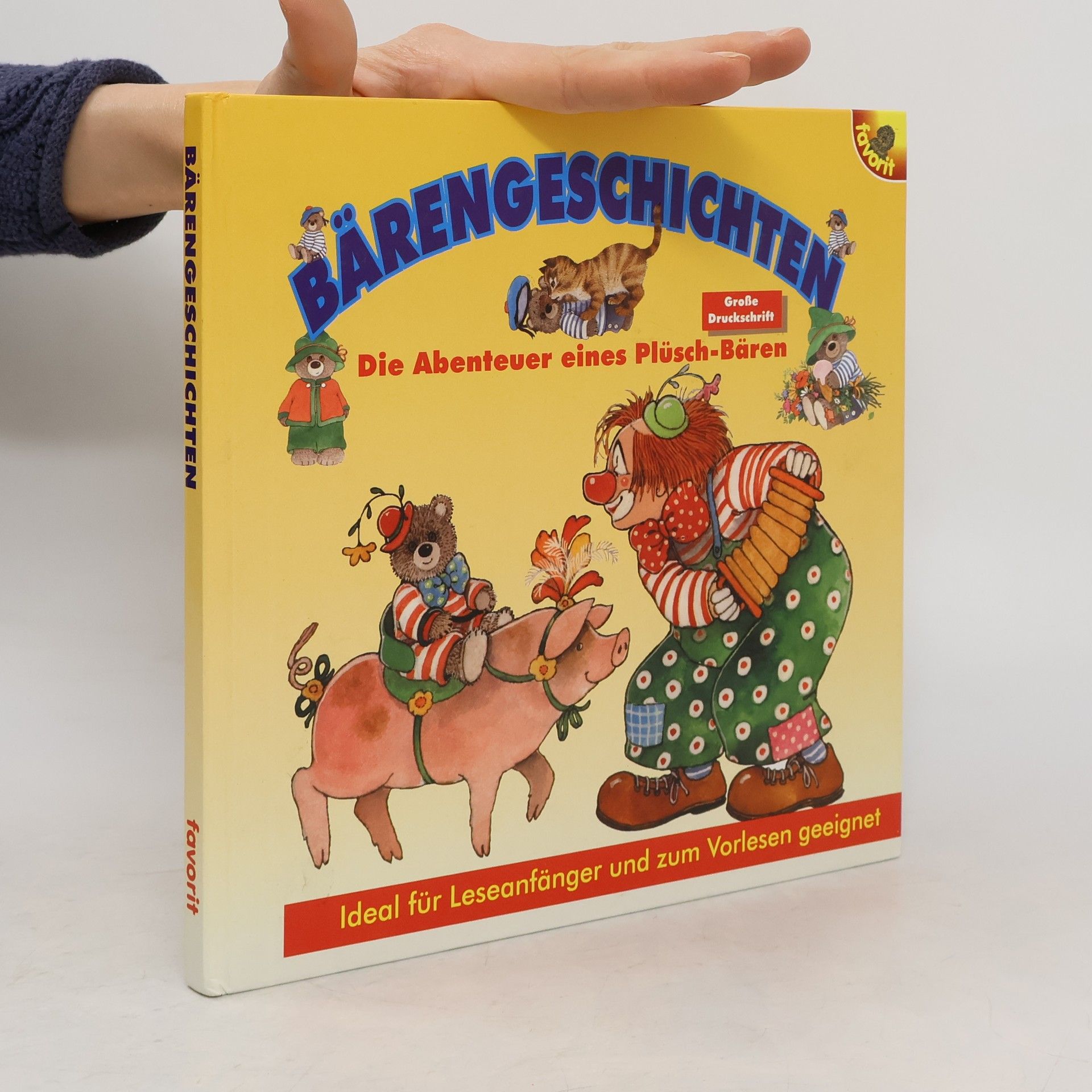 Mario Covi Bärengeschichten. Die Abenteuer eines Plüsch-Bären