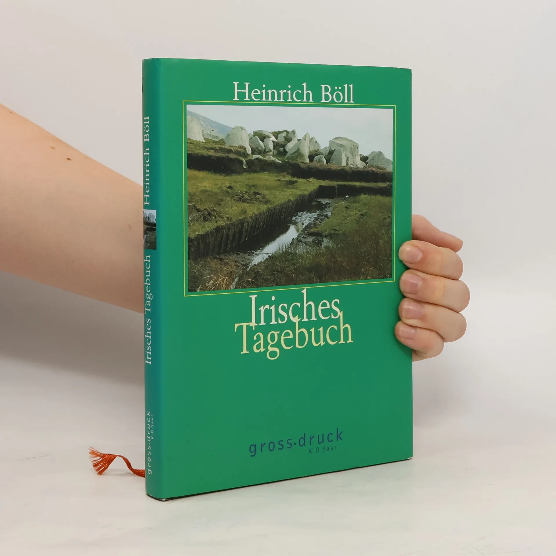 Irisches Tagebuch | Buch | Heinrich Böll