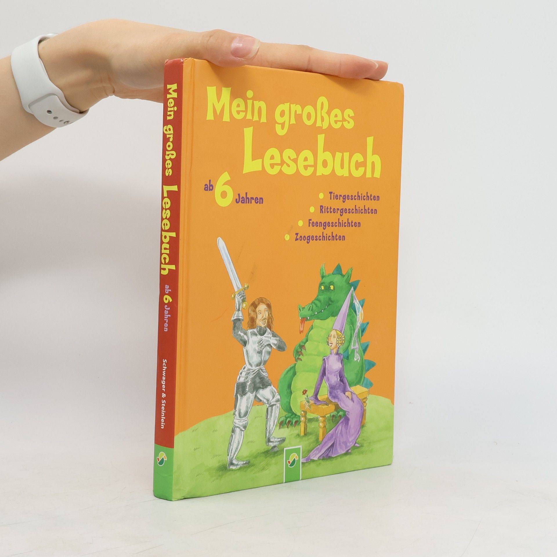 Anke Breitenborn Mein großes Lesebuch ab 6 Jahren