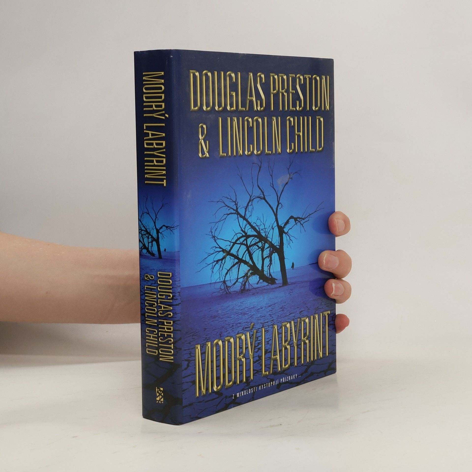 Douglas Preston Modrý labyrint