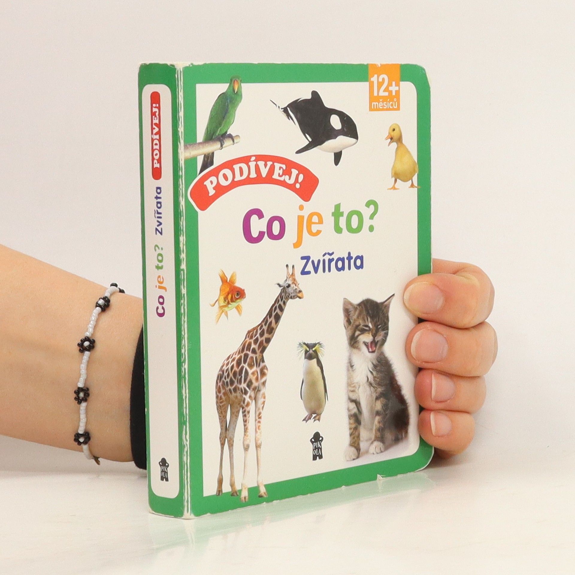 Autorenkollektiv Podívej! Co je to?. Zvířata Zvířata