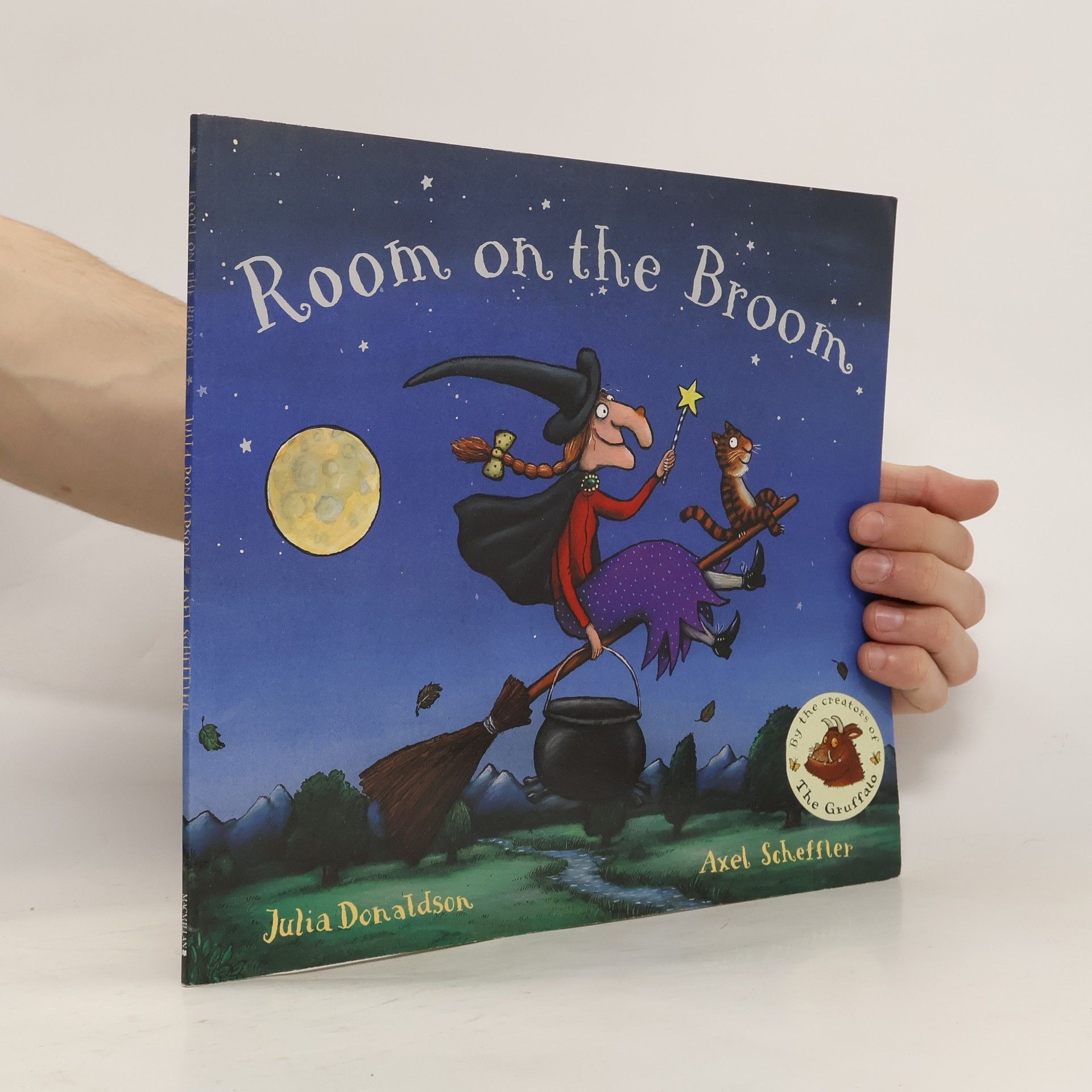 Julia Donaldson Room on the Broom