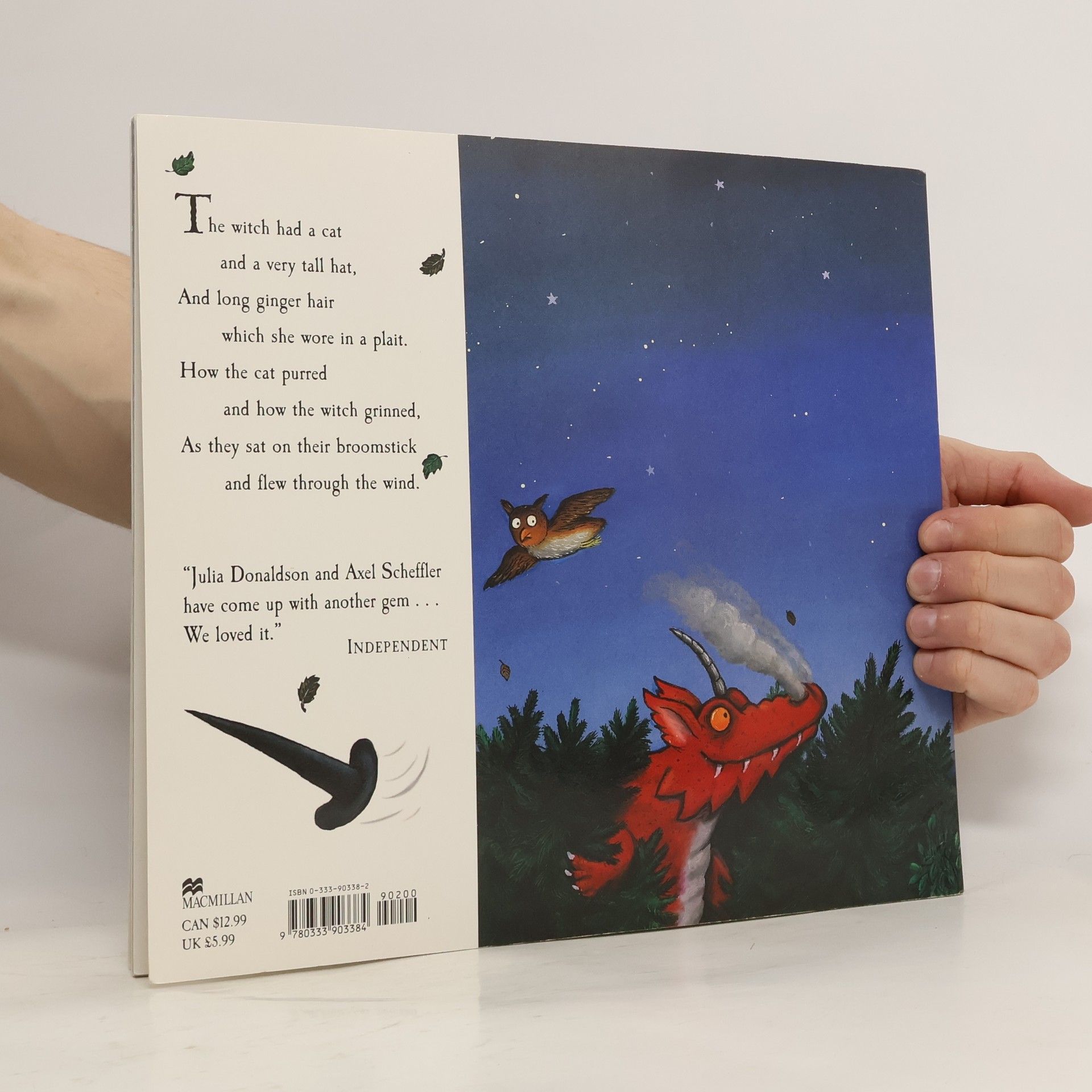 Julia Donaldson Room on the Broom