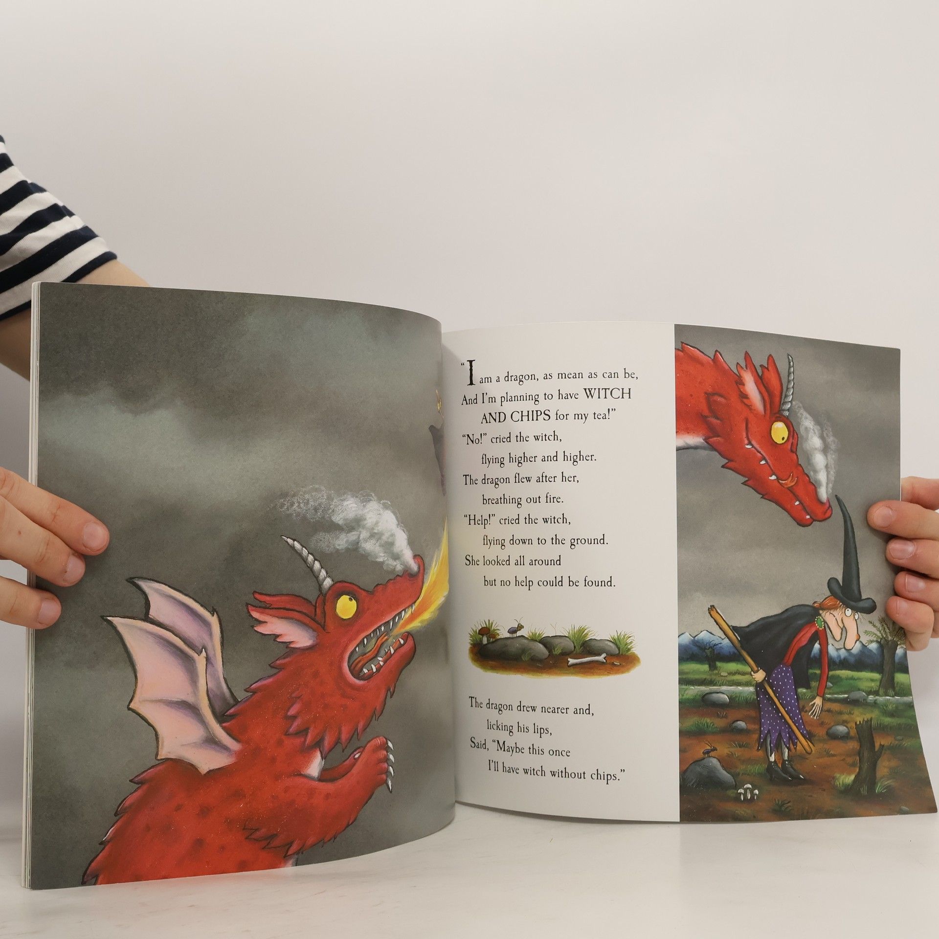 Julia Donaldson Room on the Broom