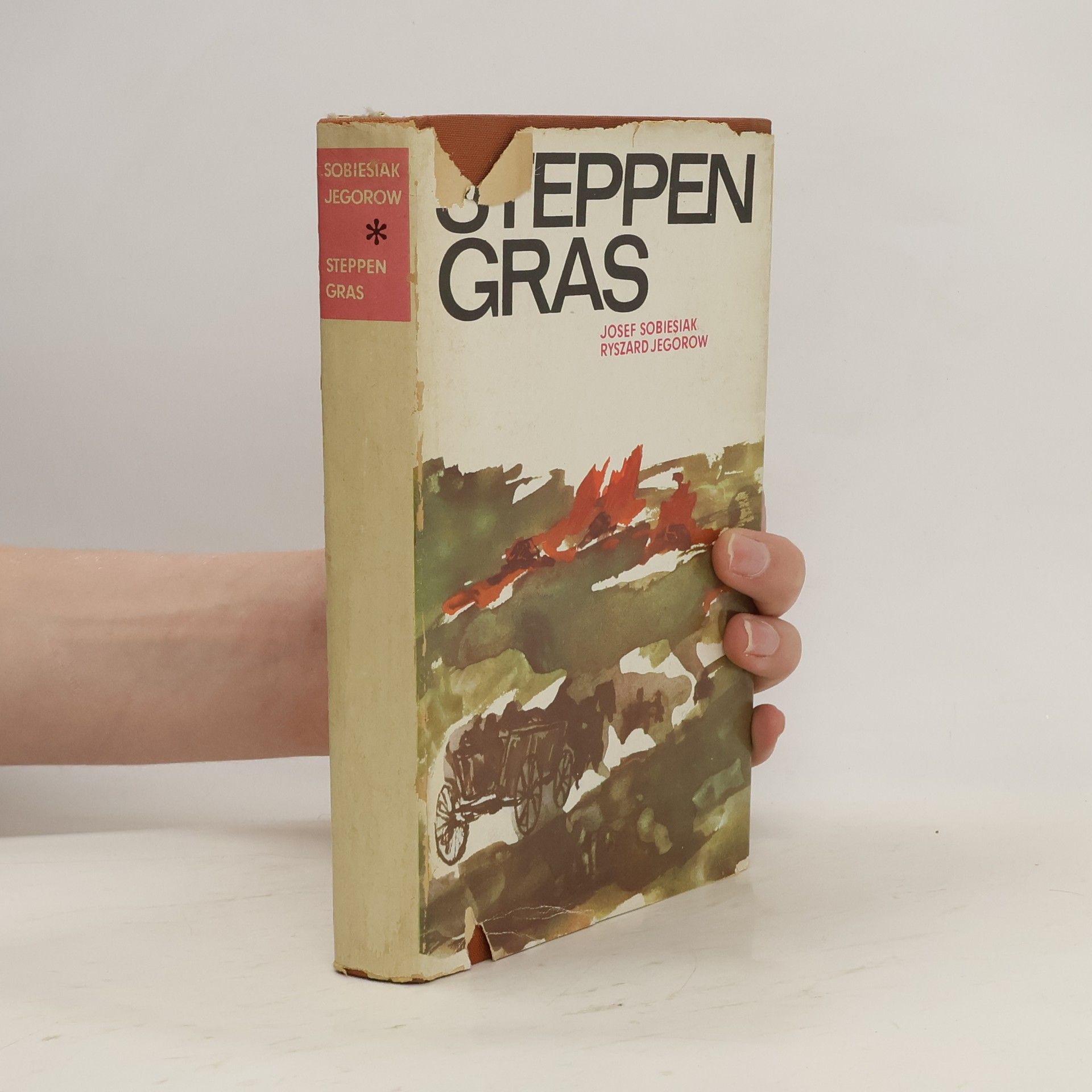 Josef Sobiesiak Steppen Gras