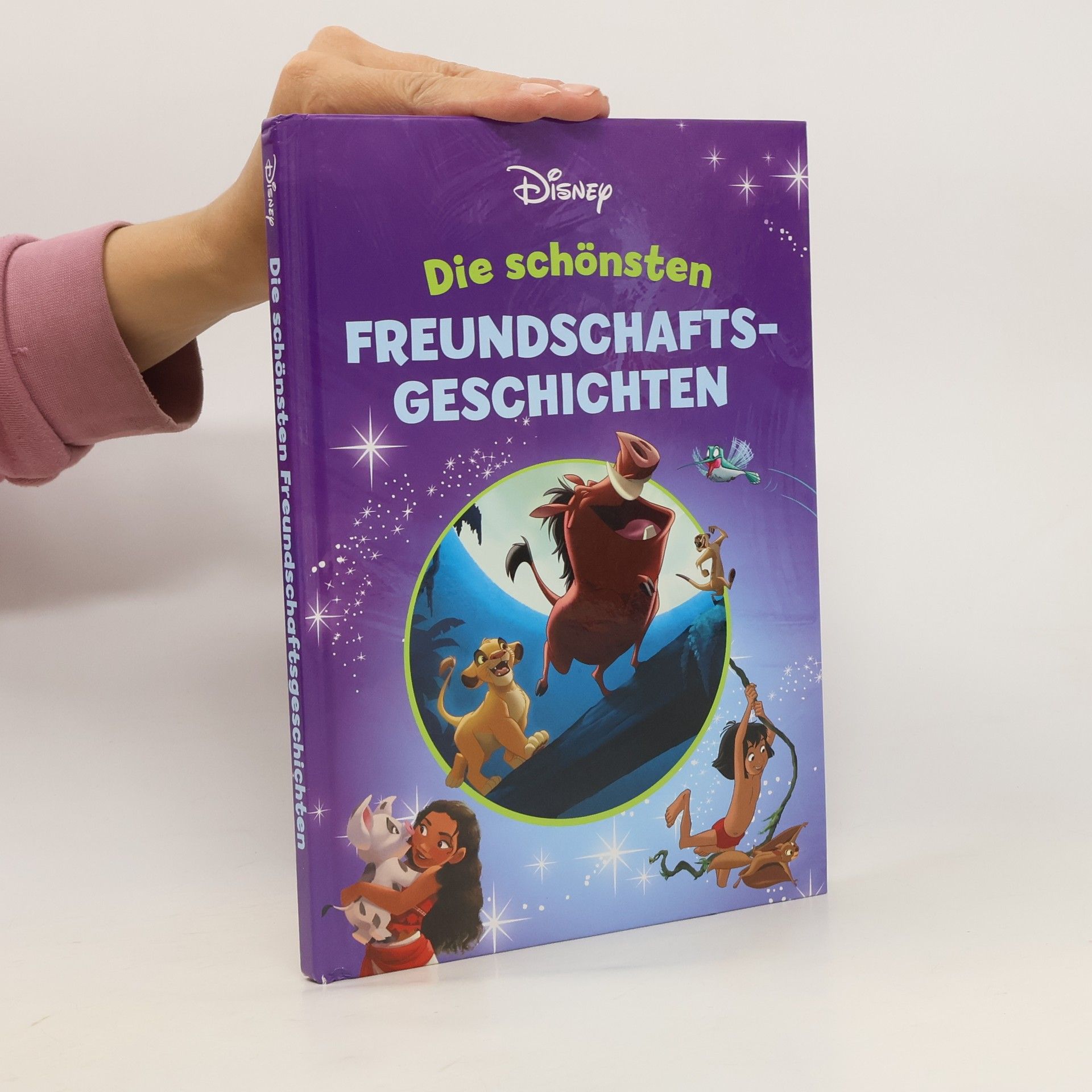 Anica Richter Disney - die schönsten Freundschaftsgeschichten