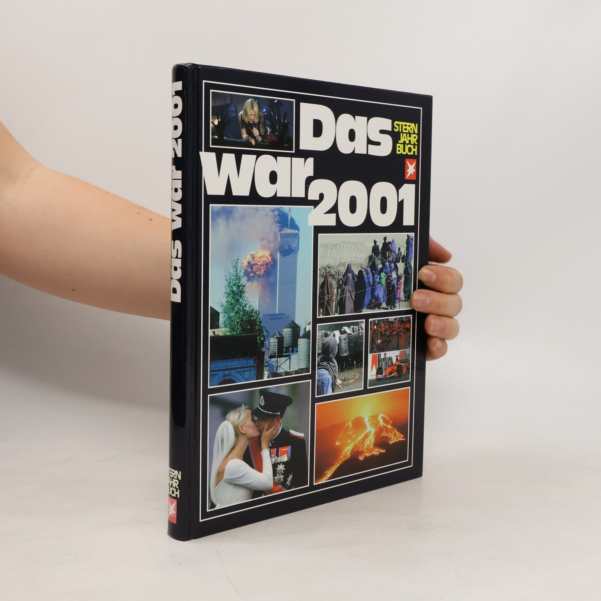 Kolektív autorov Das war 2001
