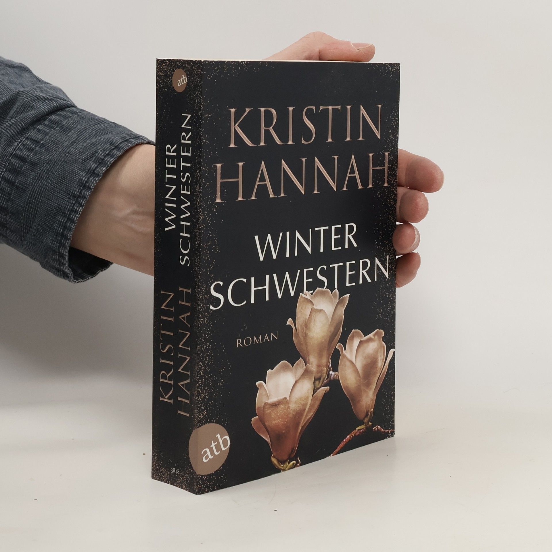 Kristin Hannah Winterschwestern