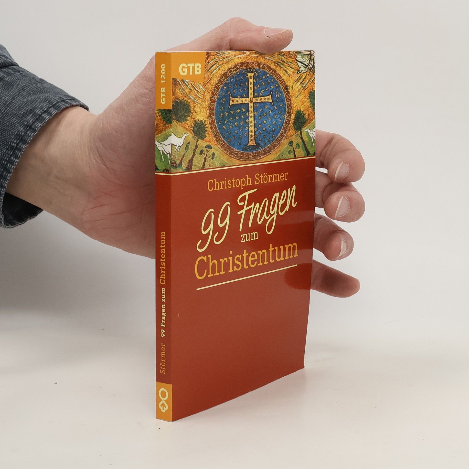 Christoph Störmer 99 Fragen zum Christentum