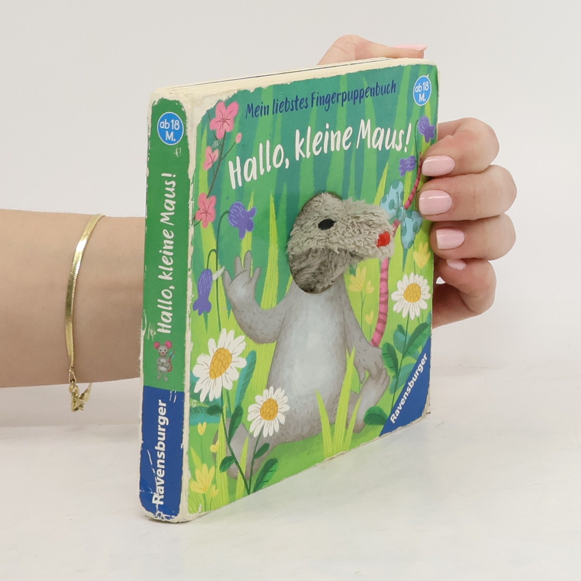 Christine Faust Mein liebstes Fingerpuppenbuch - Hallo, kleine Maus!