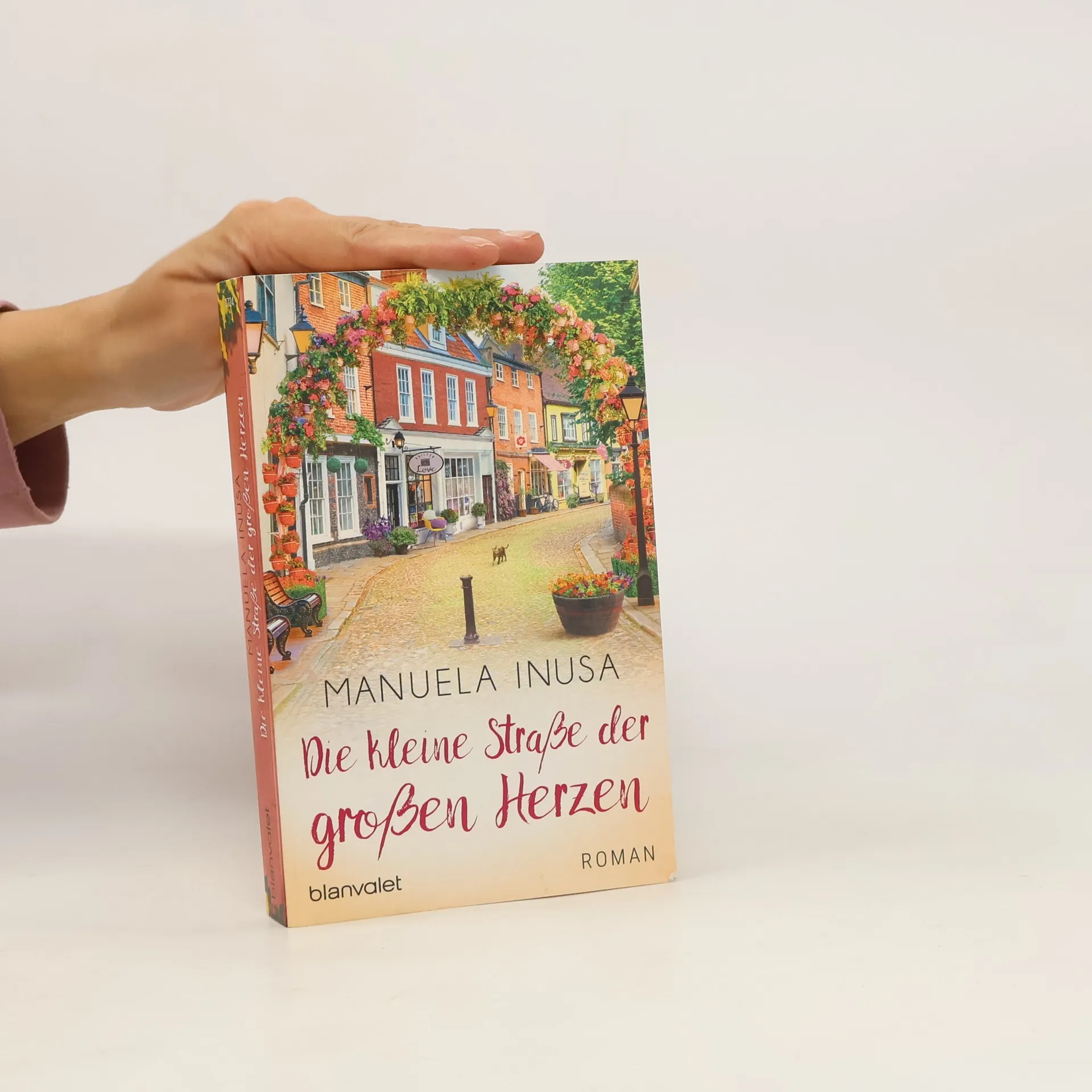 Die kleine Straße der großen Herzen | Book | Manuela Inusa | DE
