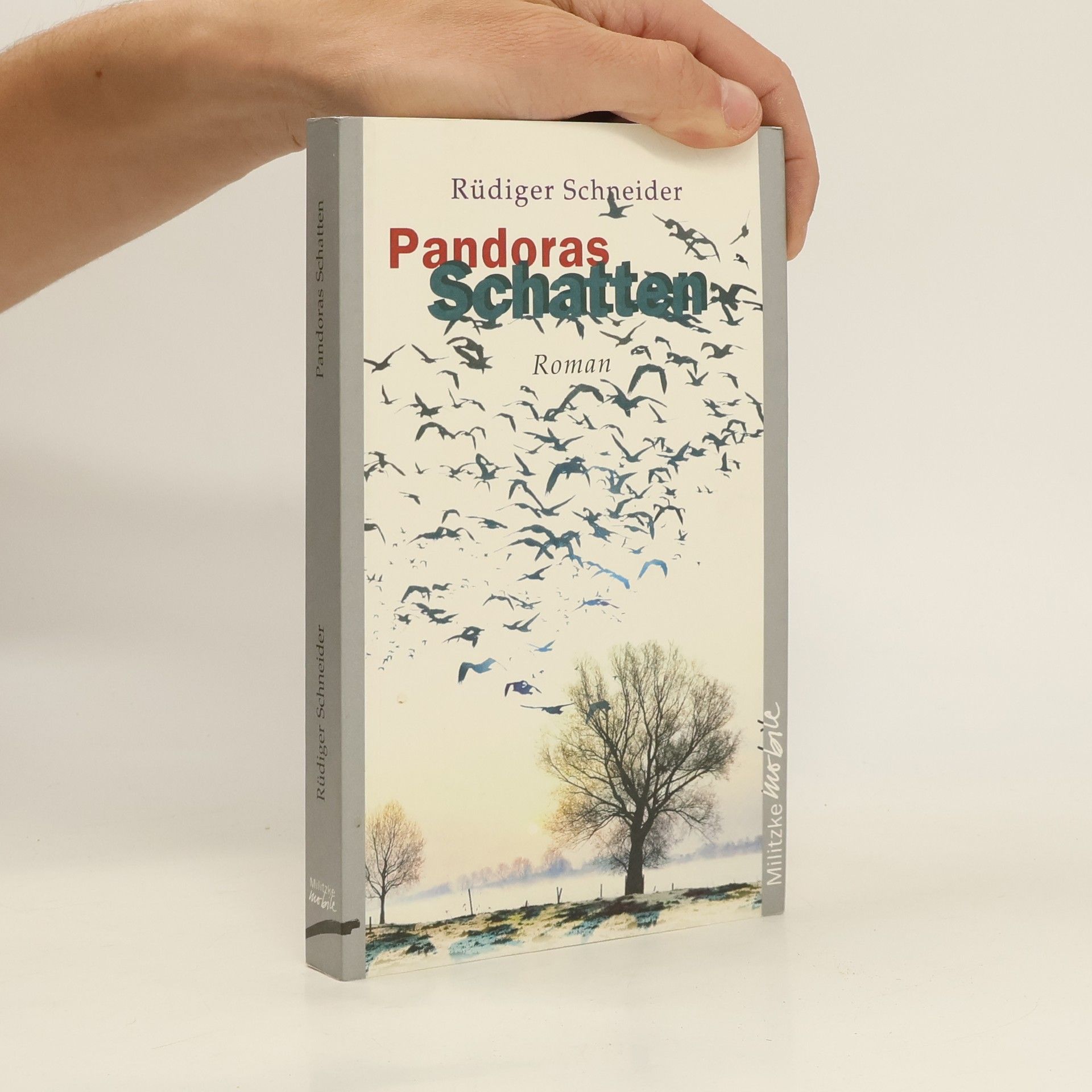 Rüdiger Schneider Pandoras Schatten. Roman
