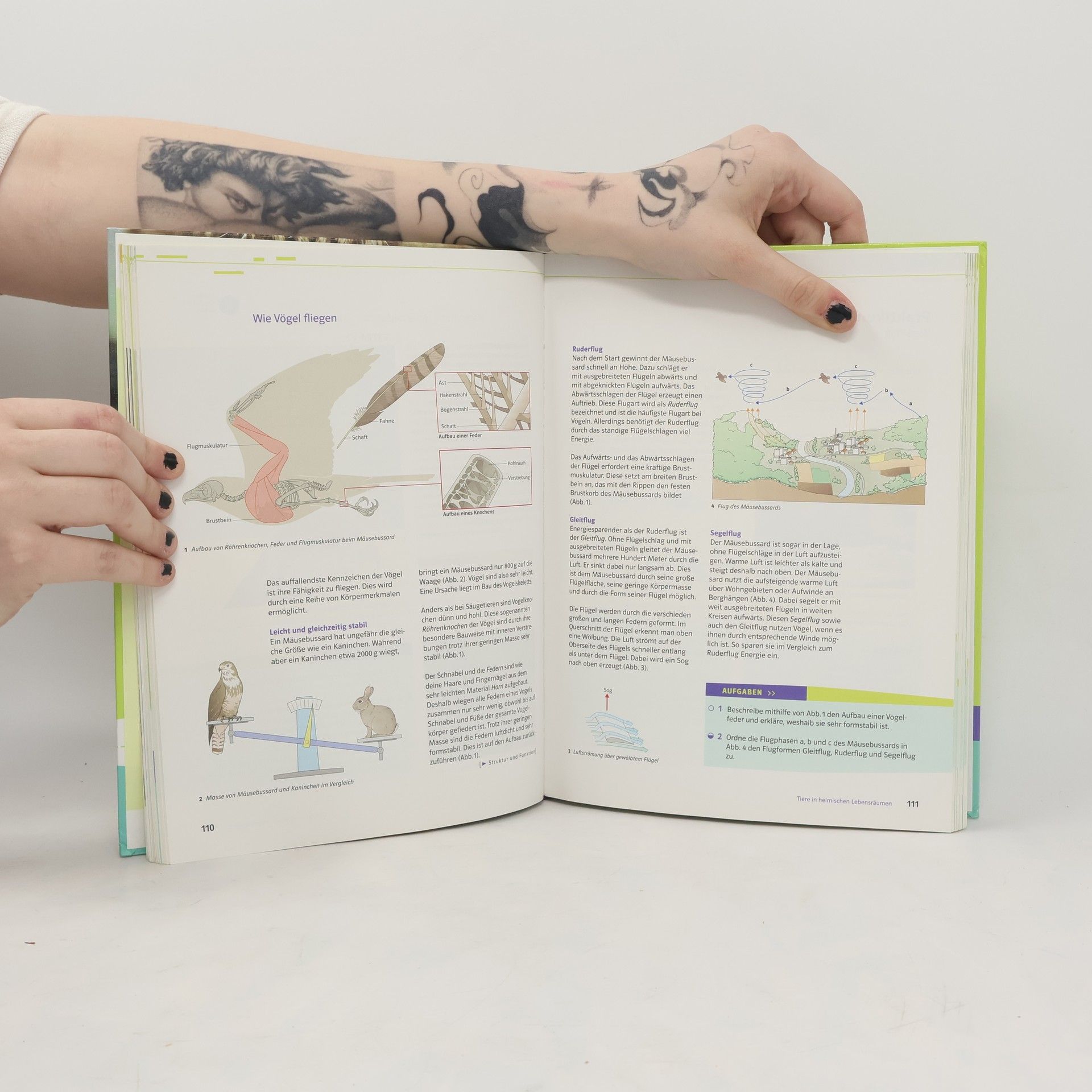 Autorenkollektiv Natura 1. Biologie für Gymnasien