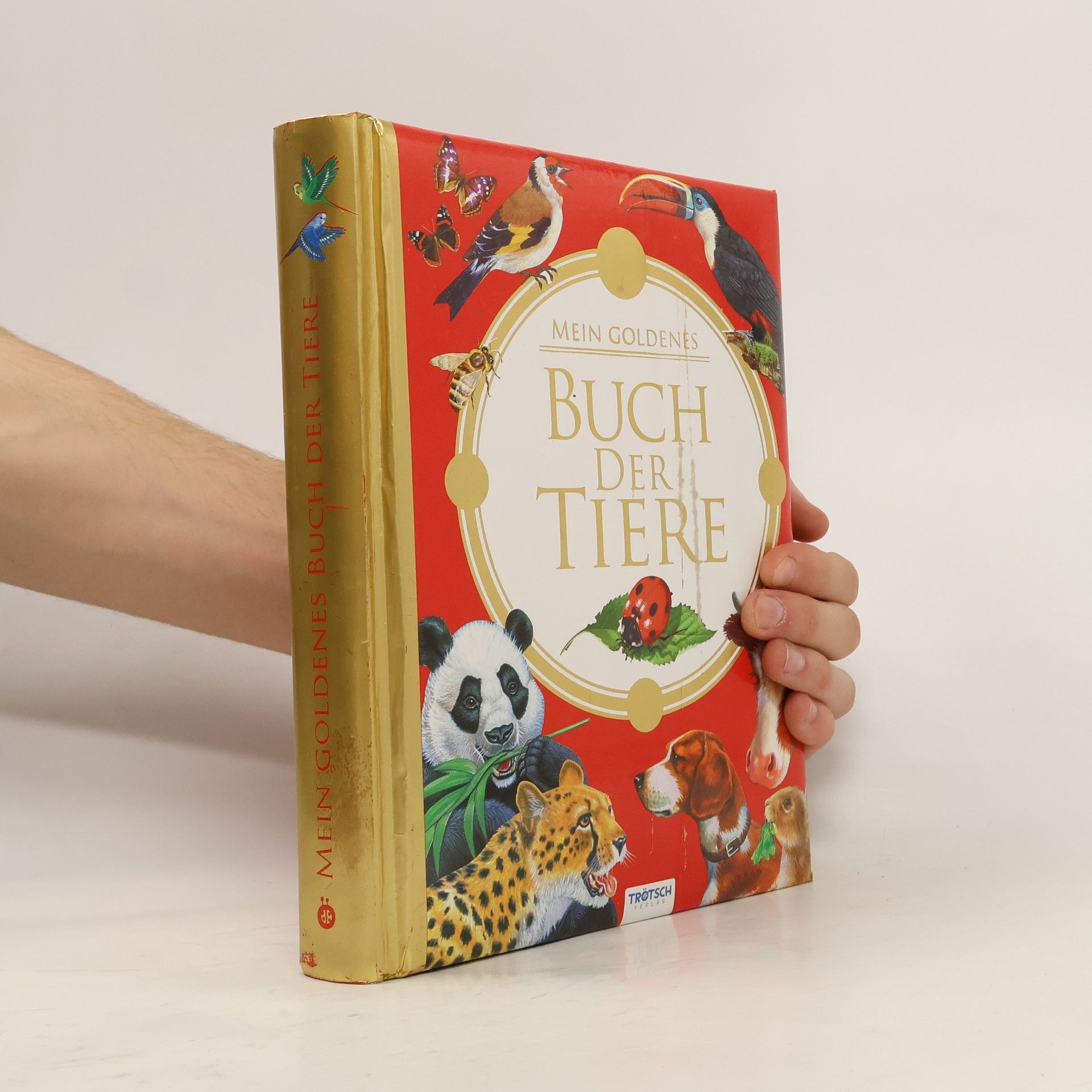 Francisca Valiente Mein goldenes Buch der Tiere