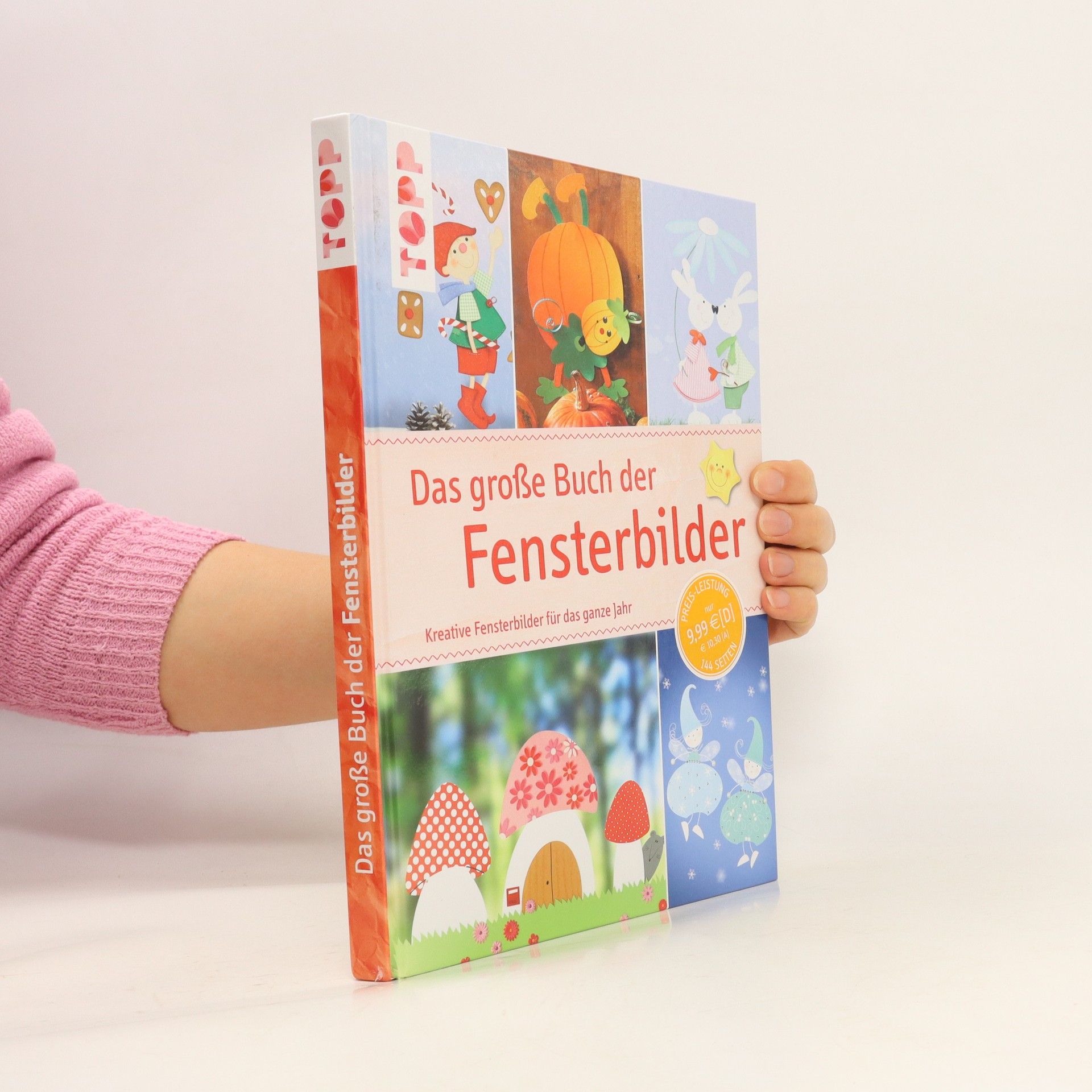 Collective Das große Buch der Fensterbilder