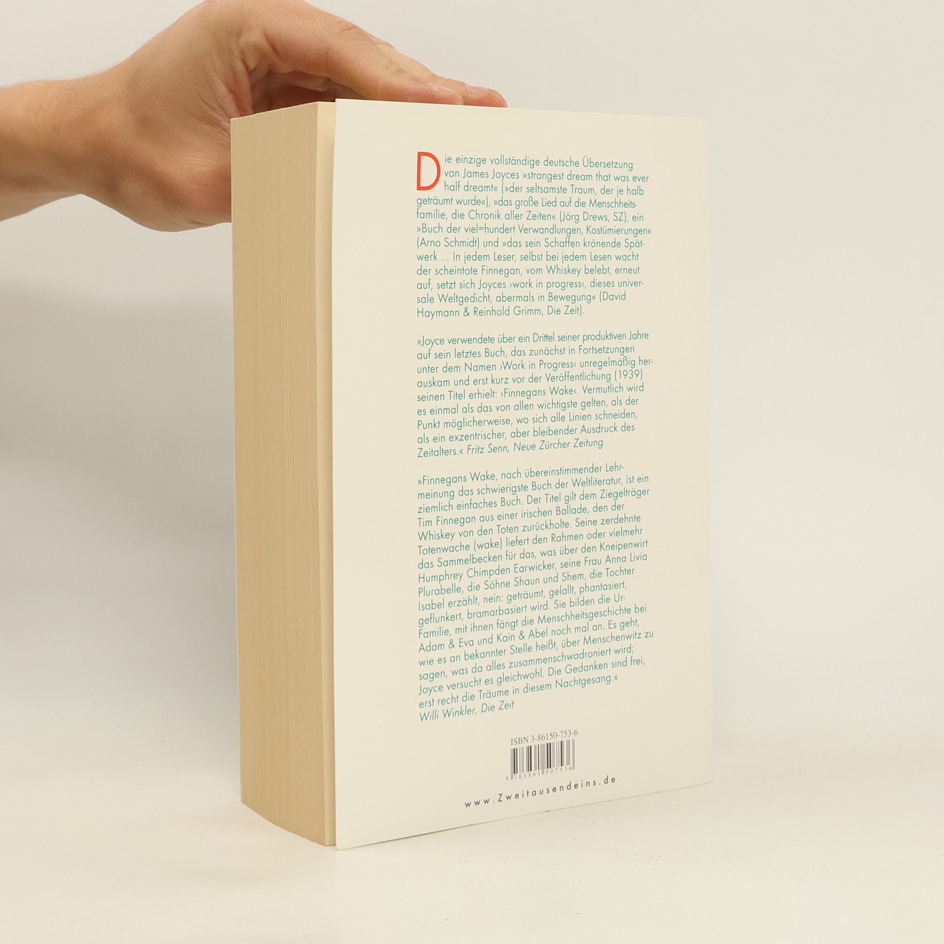 James Joyce Finnegans Wehg