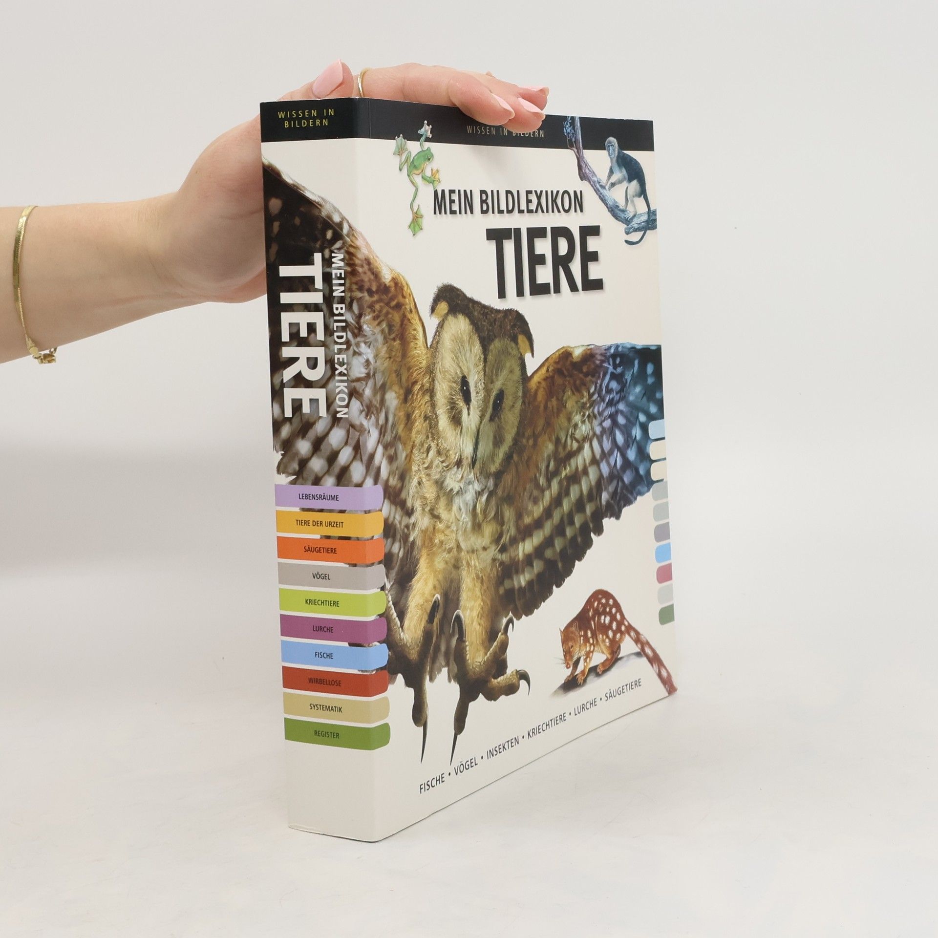 Autorenkollektiv Mein Bildlexikon Tiere