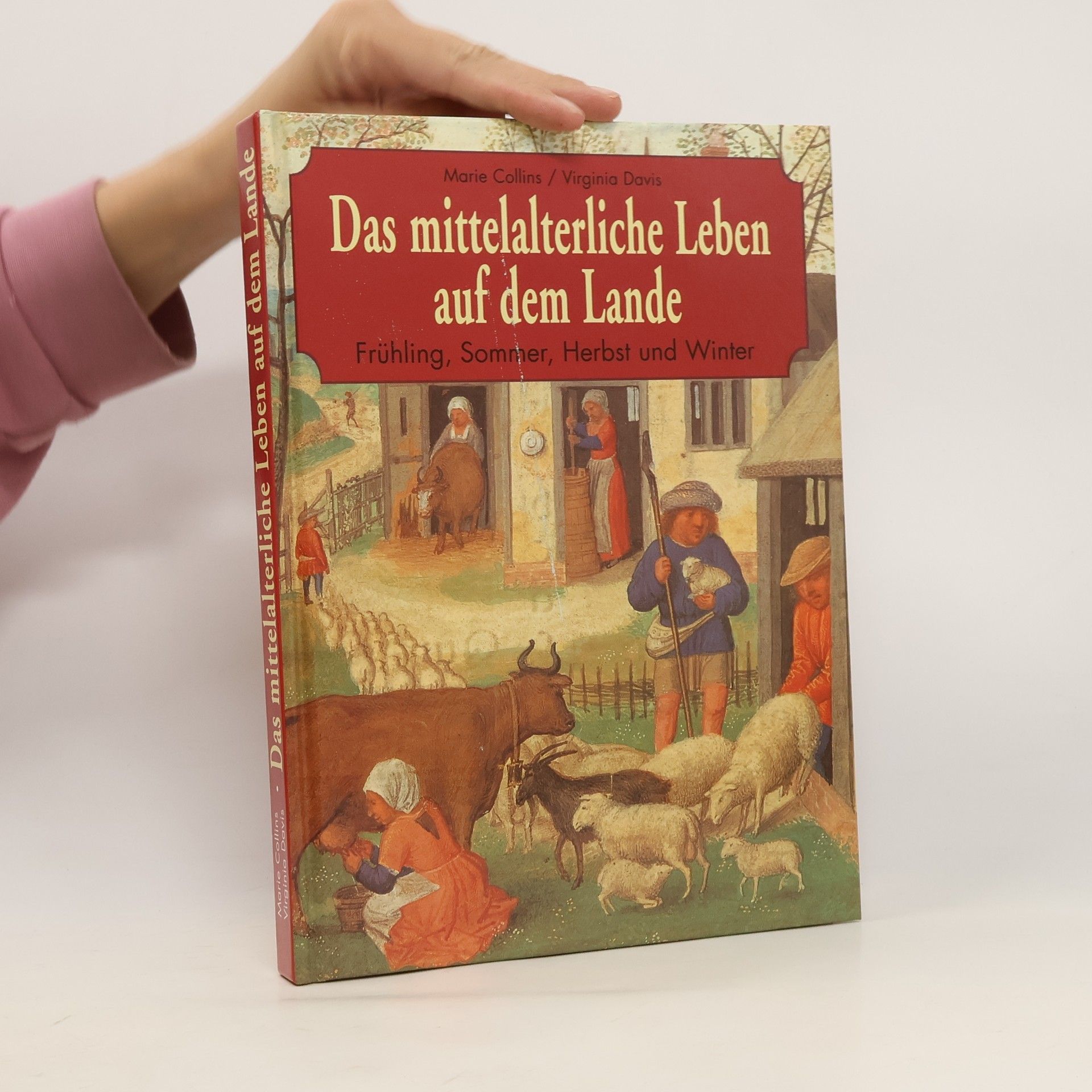 Marie Collins Das mittelalterliche Leben auf dem Lande