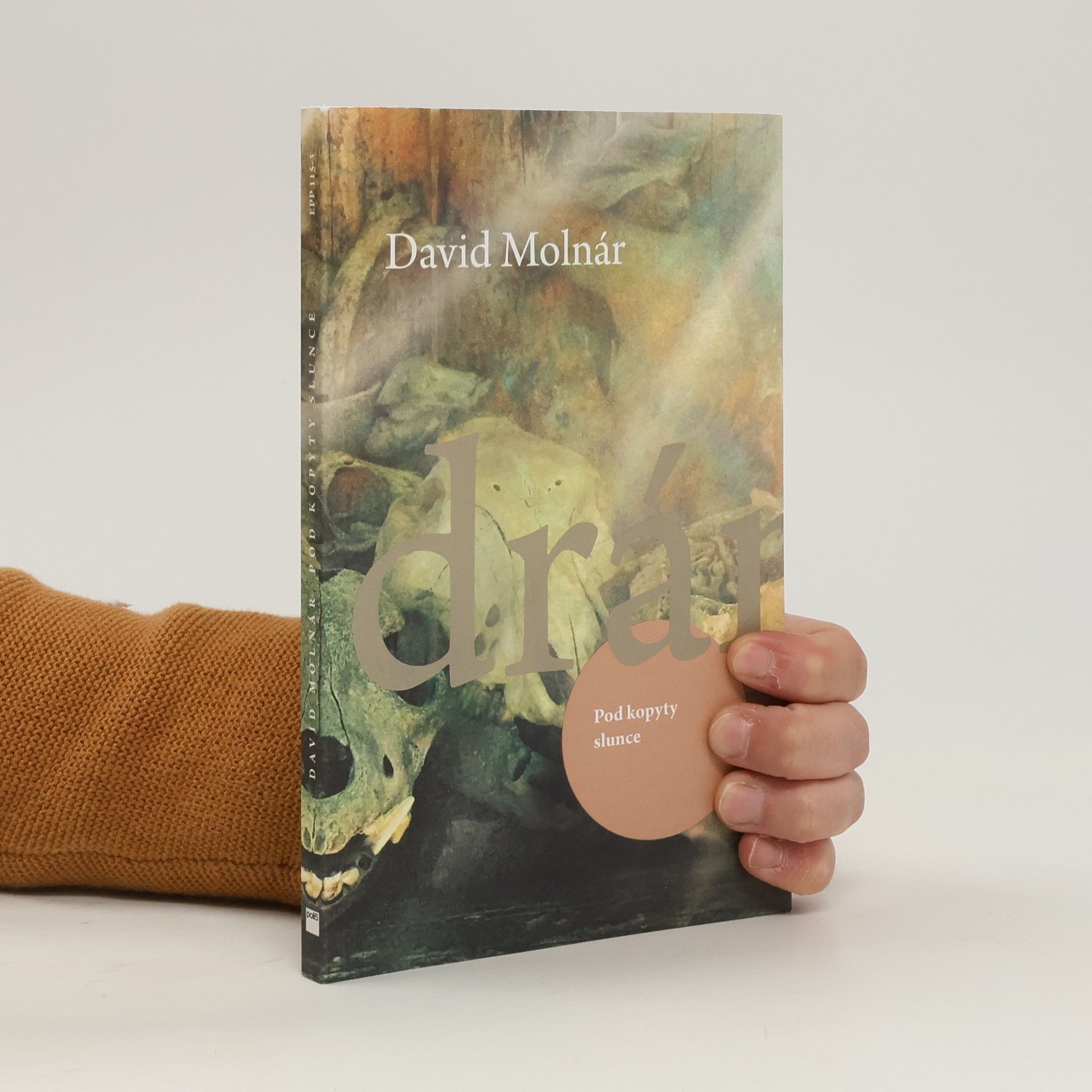 David Molnár Pod kopyty slunce