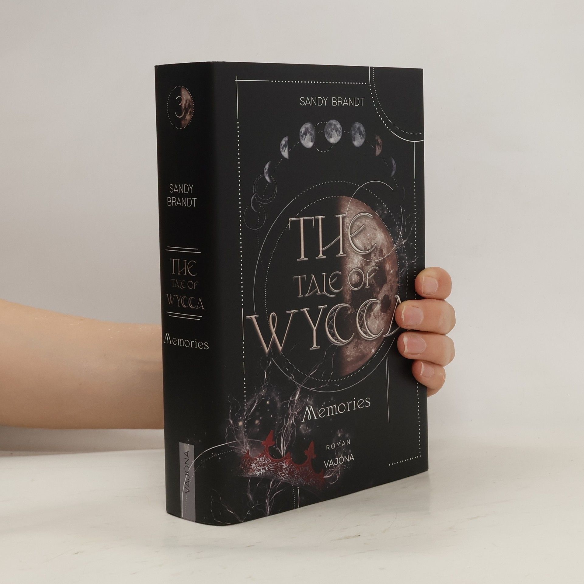 Sandy Brandt THE TALE OF WYCCA: Memories (WYCCA-Reihe 3)