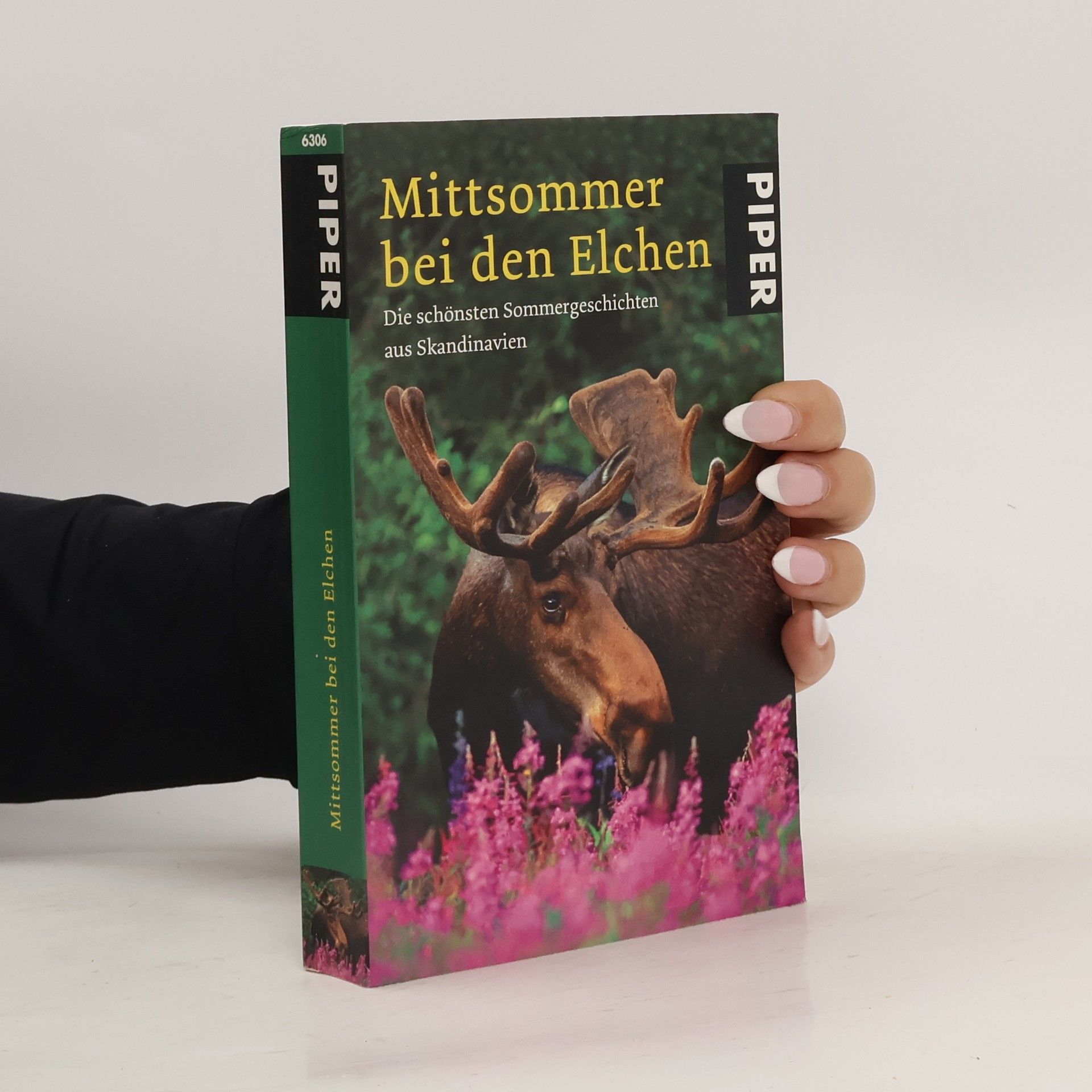 Holger Wolandt Mittsommer bei den Elchen