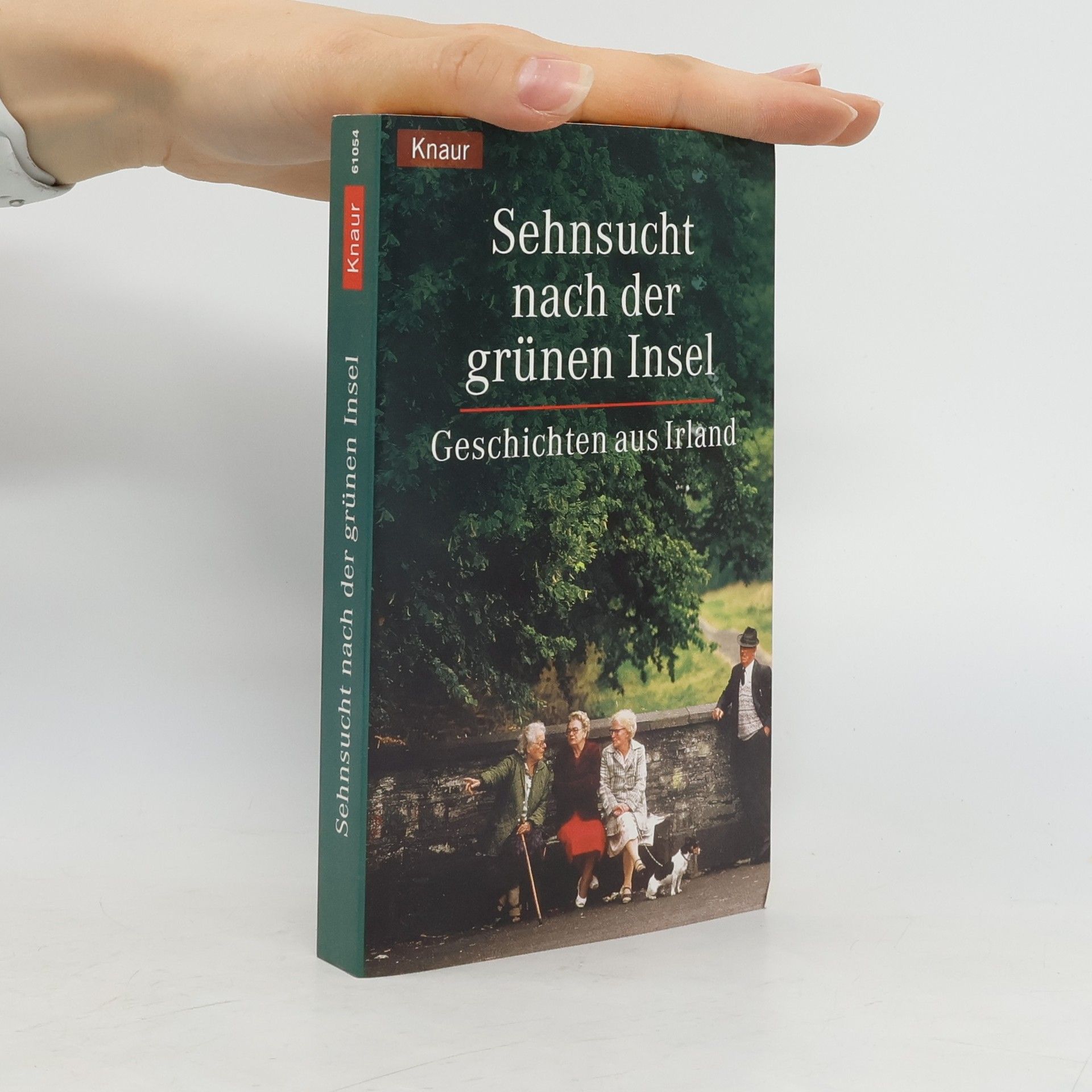 Holger Wolandt Sehnsucht nach der grünen Insel