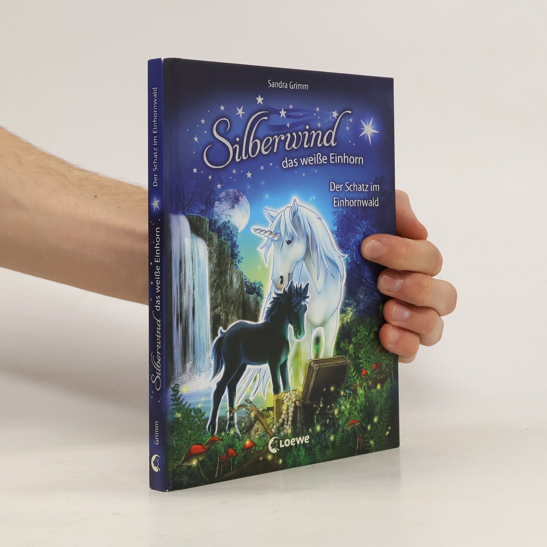 Sandra Grimm Der Schatz im Einhornwald