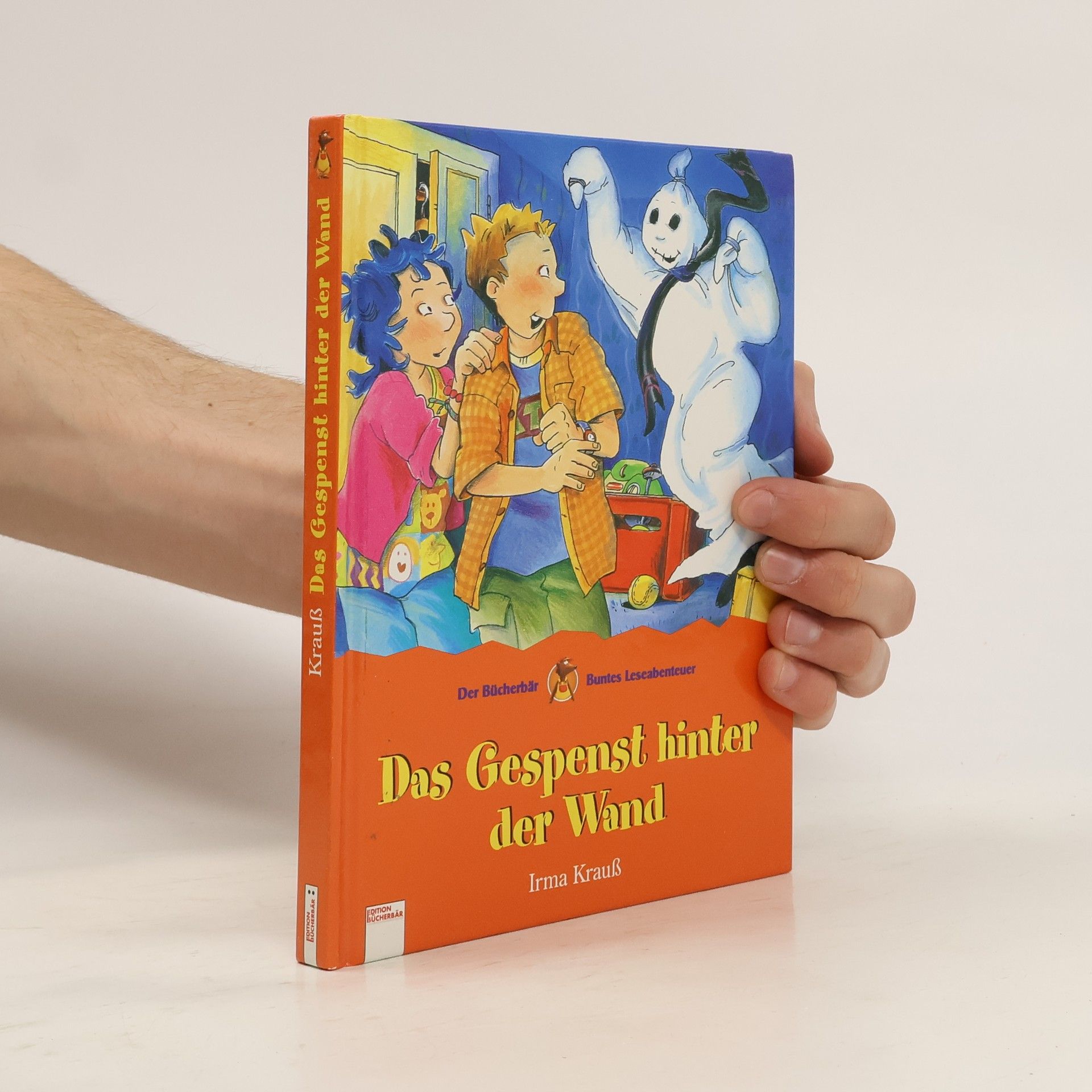 Irma Krauß Das Gespenst hinter der Wand