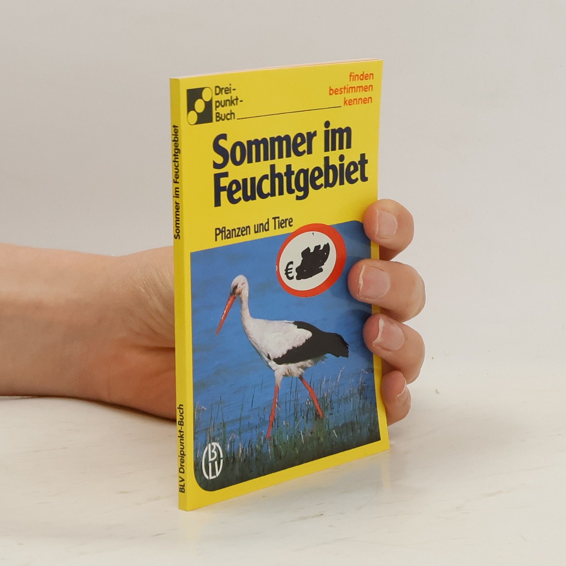Autorenkollektiv Sommer im Feuchtgebiet